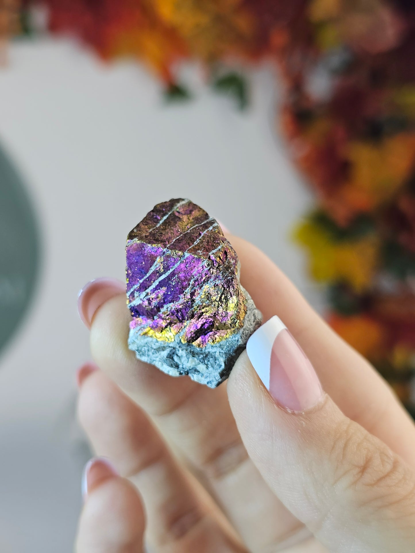 Intuitively chosen Colourful Pyrite on Limestone Matrix - MAS2805