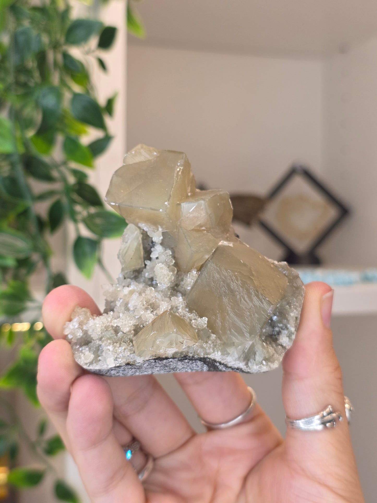 Honey Calcite Cubes on Druzy Sugar Calcite and Stilbite Matrix from Madhya Pradesh, India - AF
