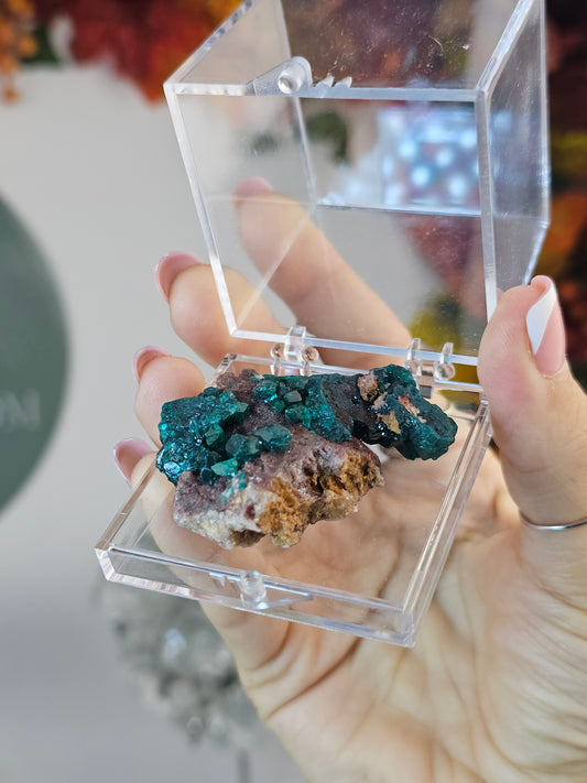 Dioptase Specimen D from Namibia - MAS3009