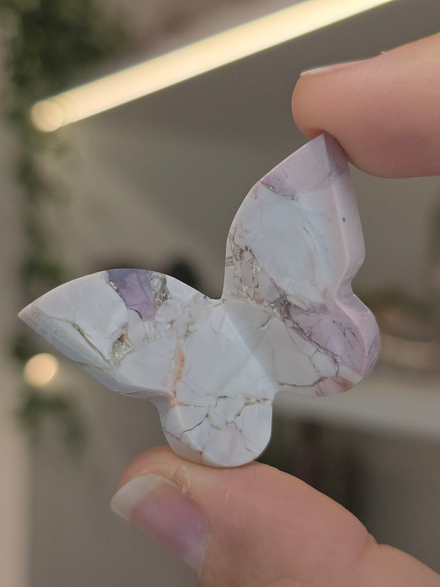 Hyacinth Jasper Butterflies