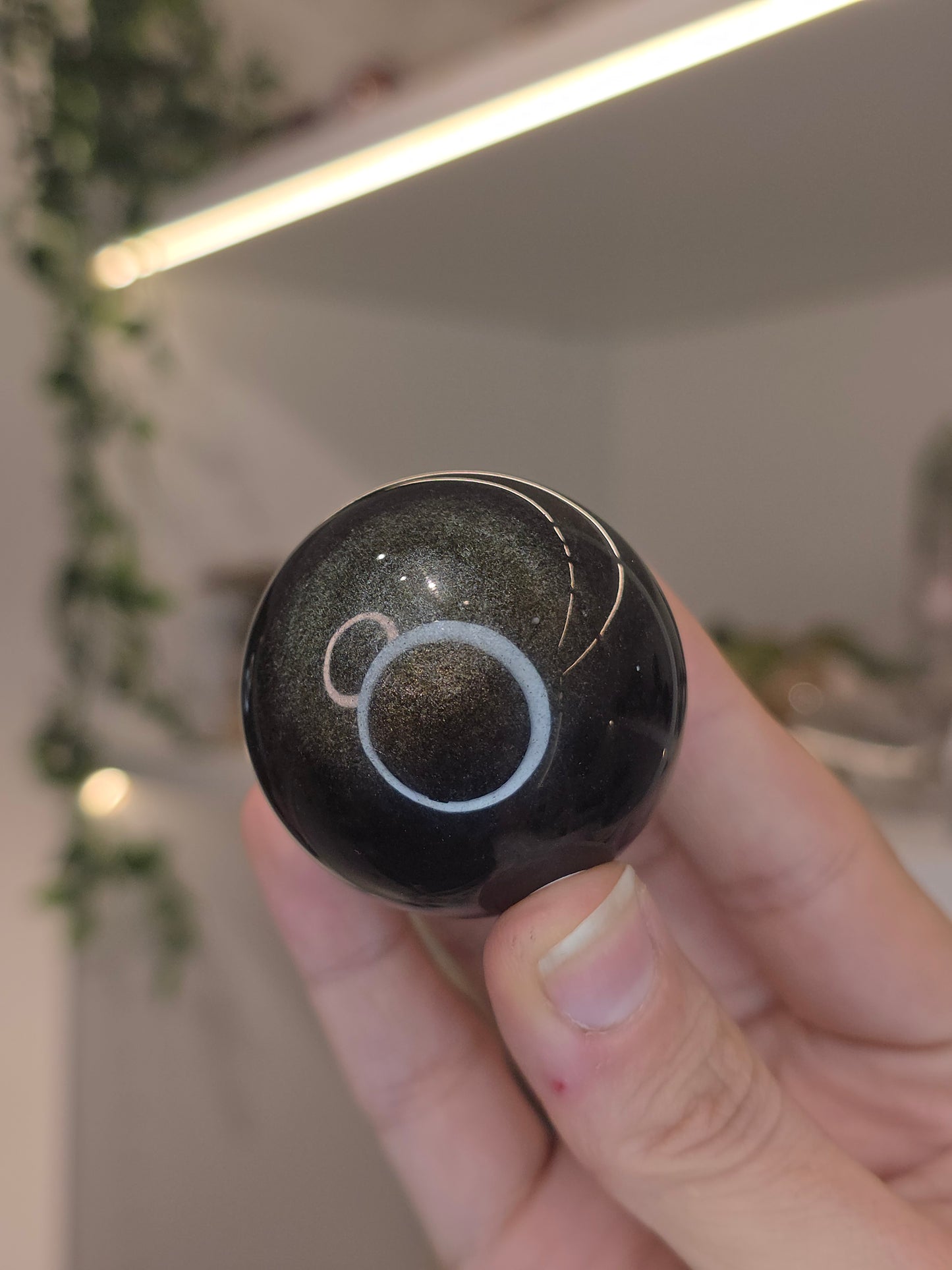 Gold Sheen Obsidian Sphere C