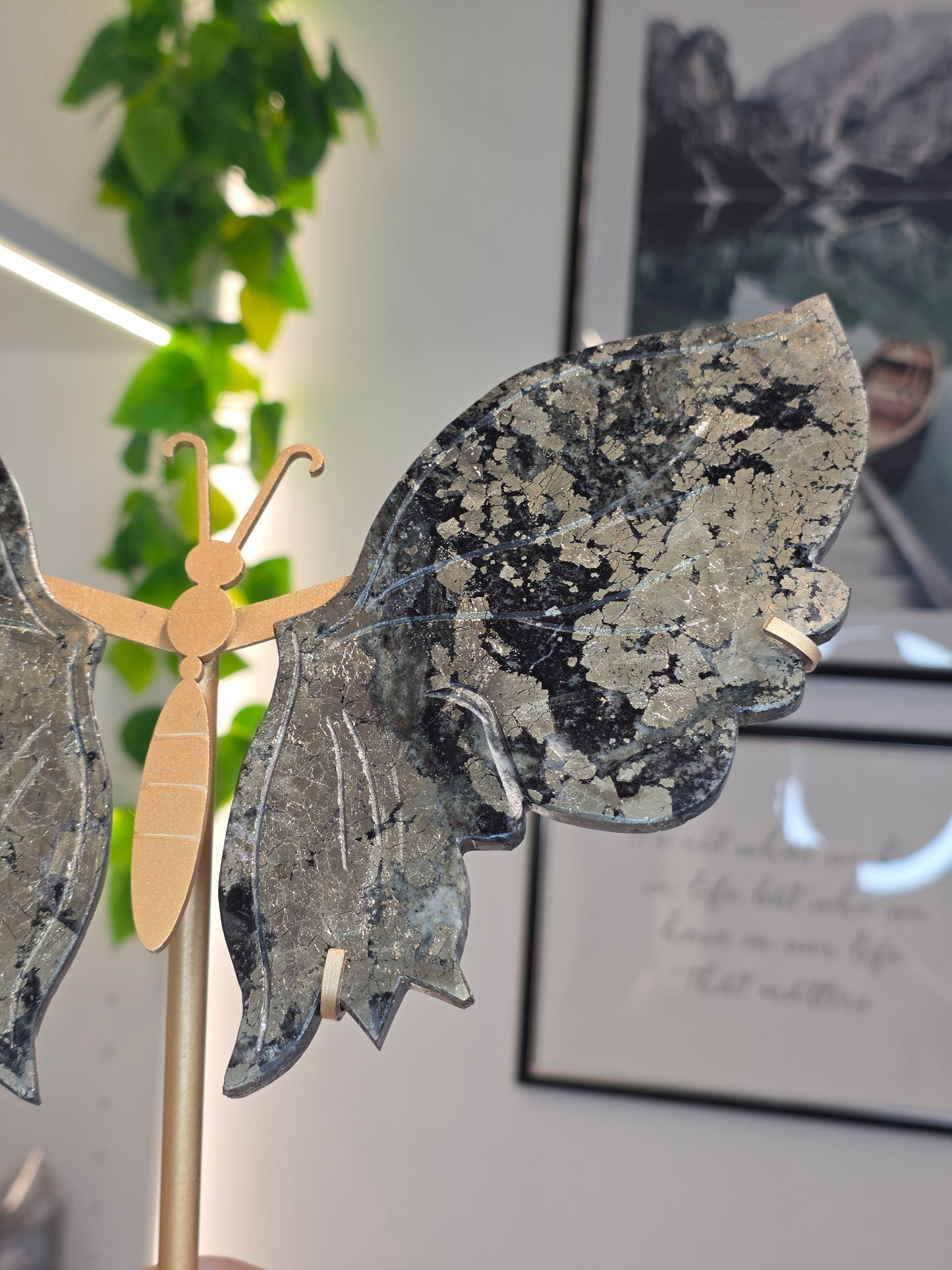 Pyrite Butterfly Wings on Custom Stand - C