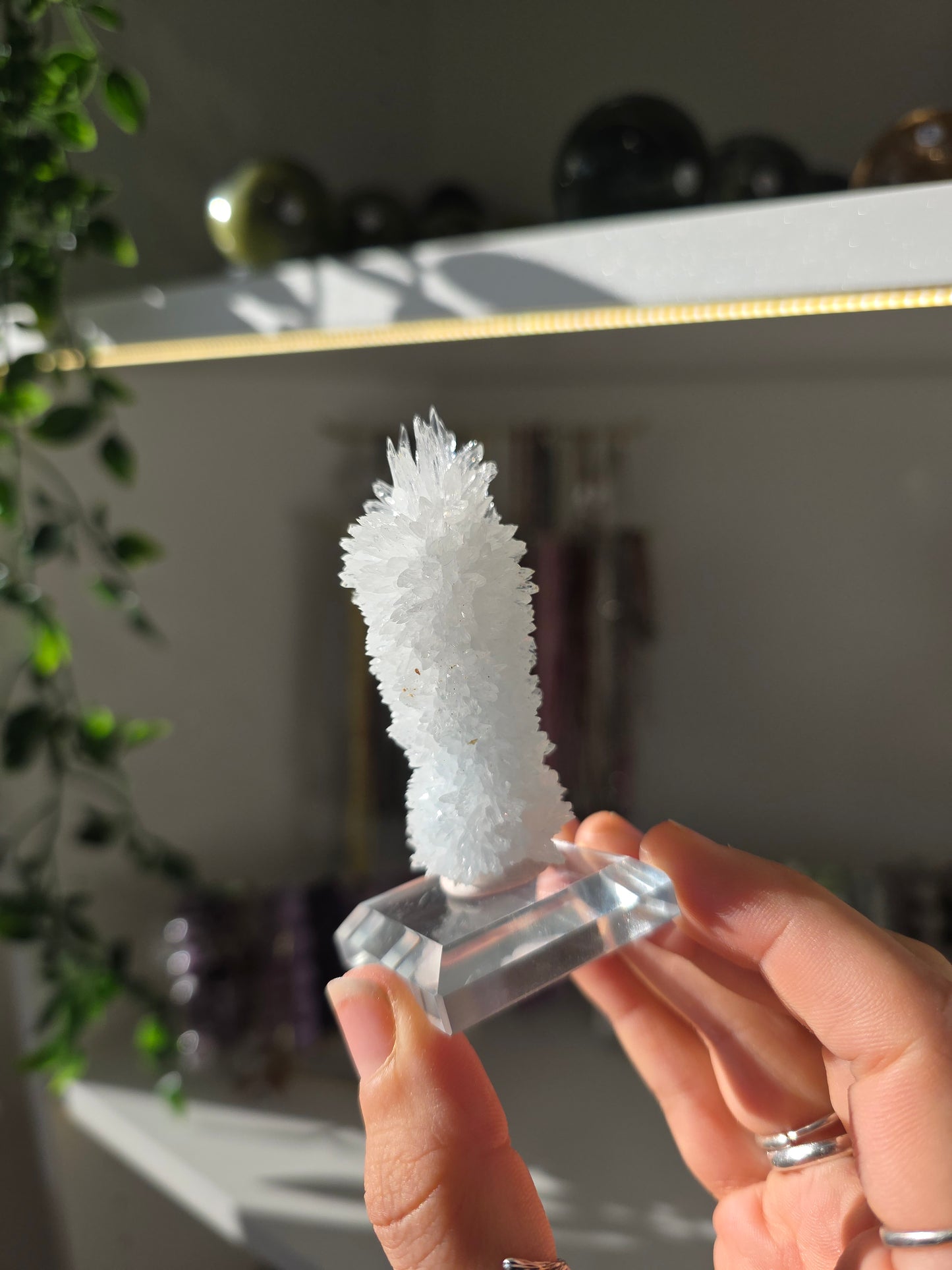 Aragonite Stalactite from Dachang Mine, Qinglong, Guizhou, China