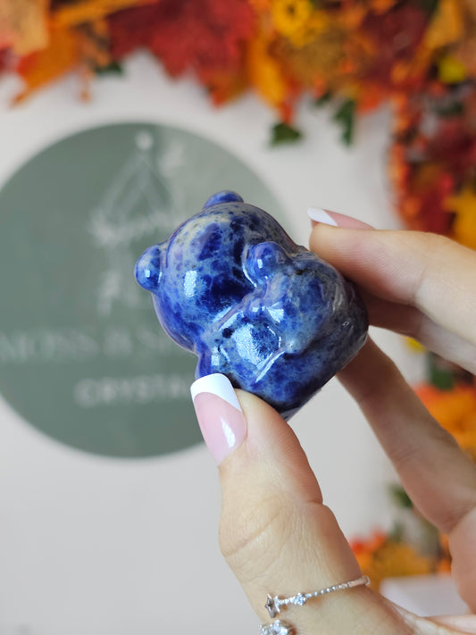 Sodalite Capybara - MAS1311