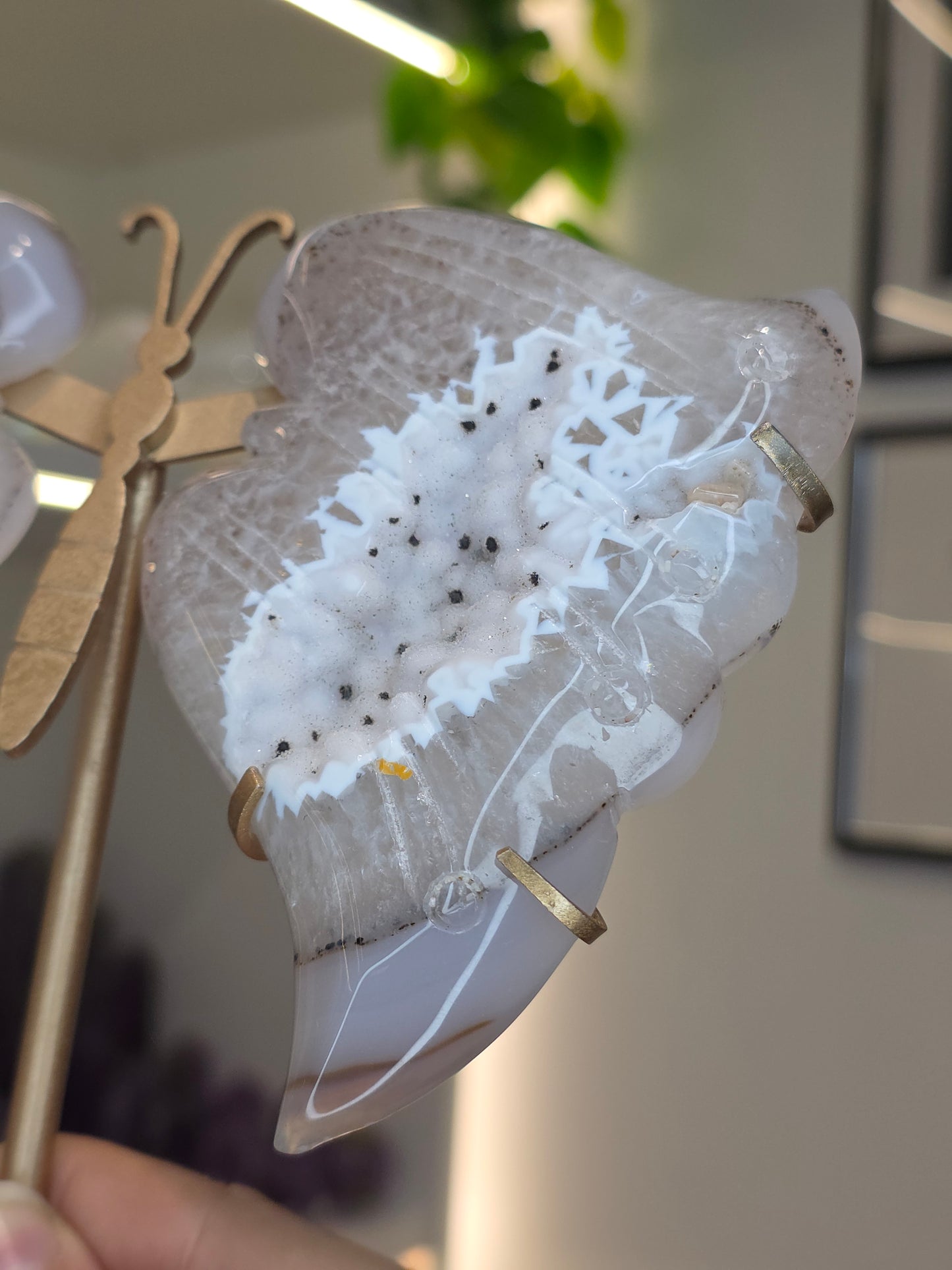 Druzy Agate Butterfly Wings on Stand
