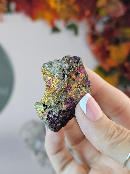 Intuitively chosen Colourful Pyrite on Limestone Matrix - MAS2805