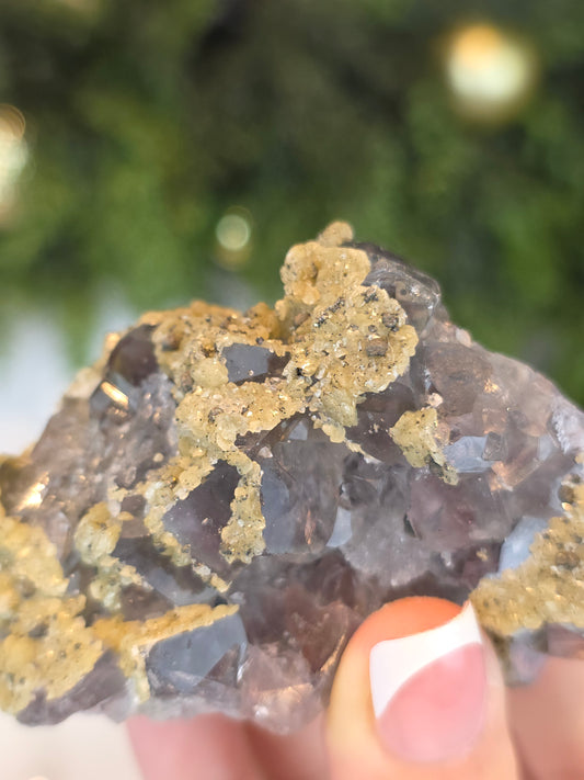Daylight Fluorite with Golden Mica from Nigeria - MAS6081