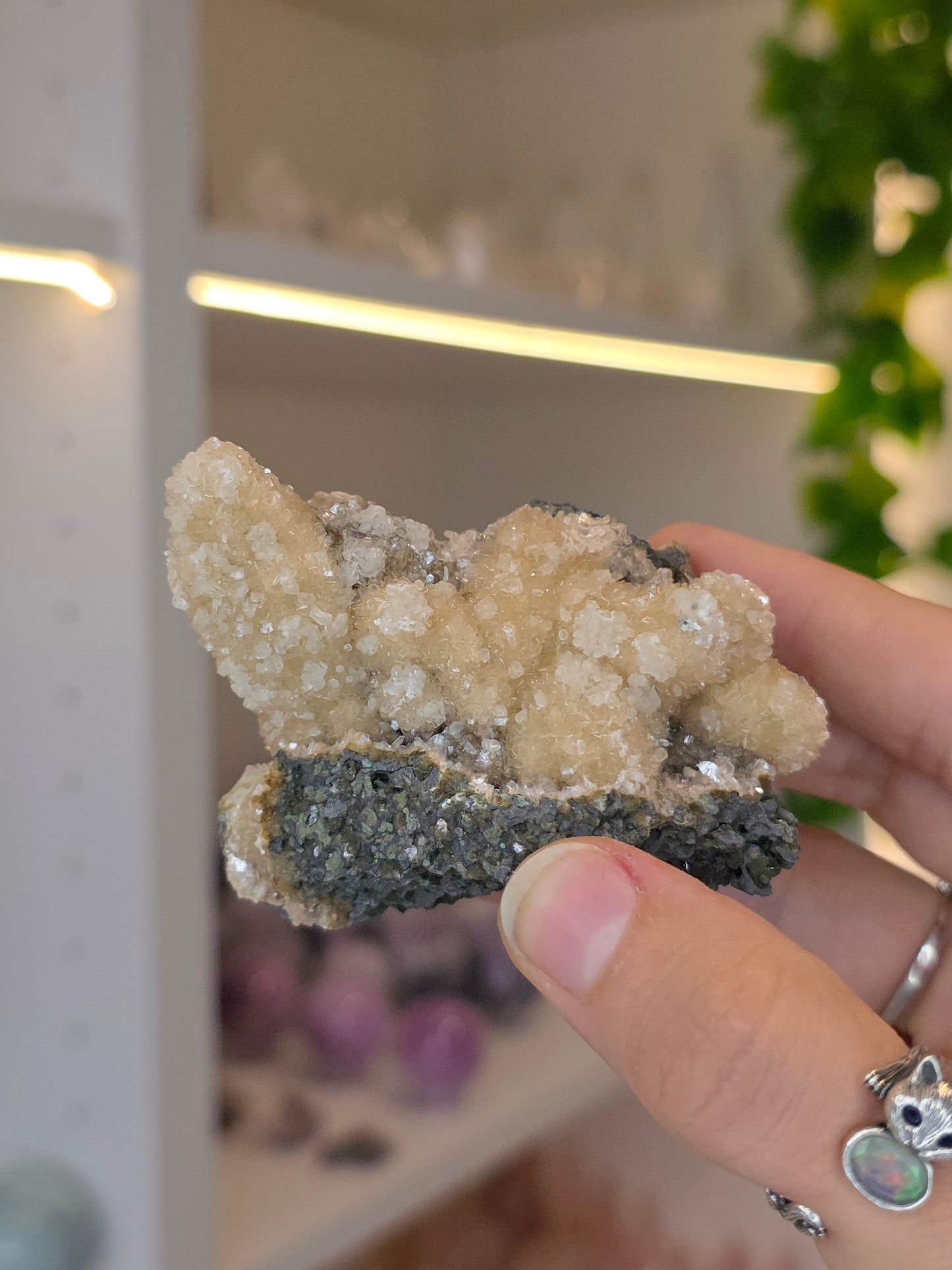 Sugary Dogtooth Calcite with Heulandite and Stilbite from Madhya Pradesh, India - X