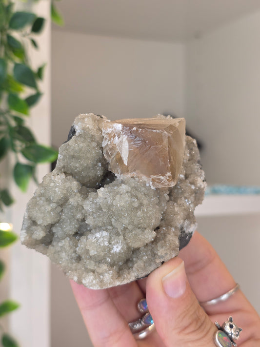 Honey Calcite Cubes on Druzy Sugar Calcite and Stilbite Matrix from Madhya Pradesh, India - X