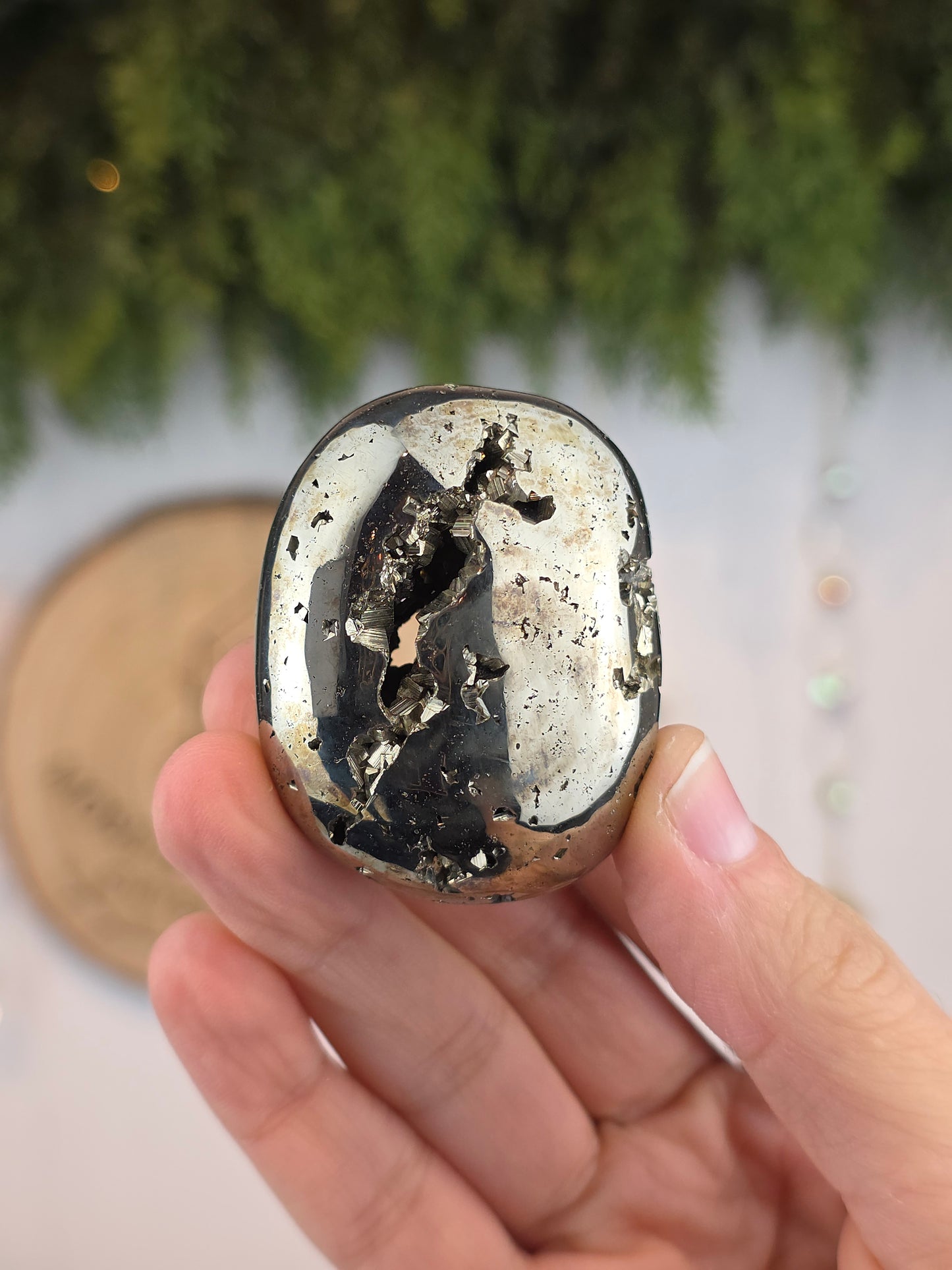 Peruvian Pyrite Palm