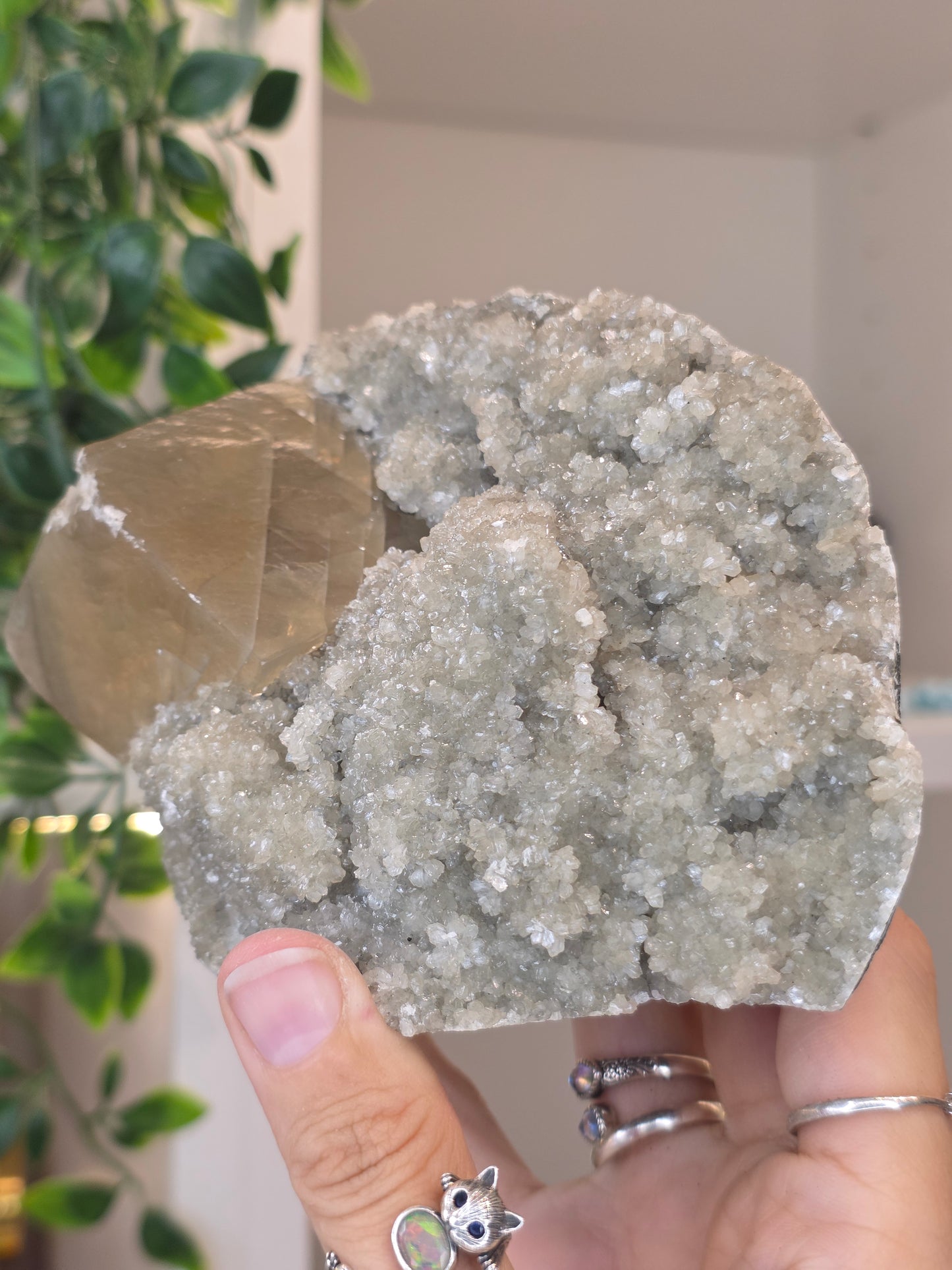 Honey Calcite Cubes on Druzy Sugar Calcite and Stilbite Matrix from Madhya Pradesh, India - AJ