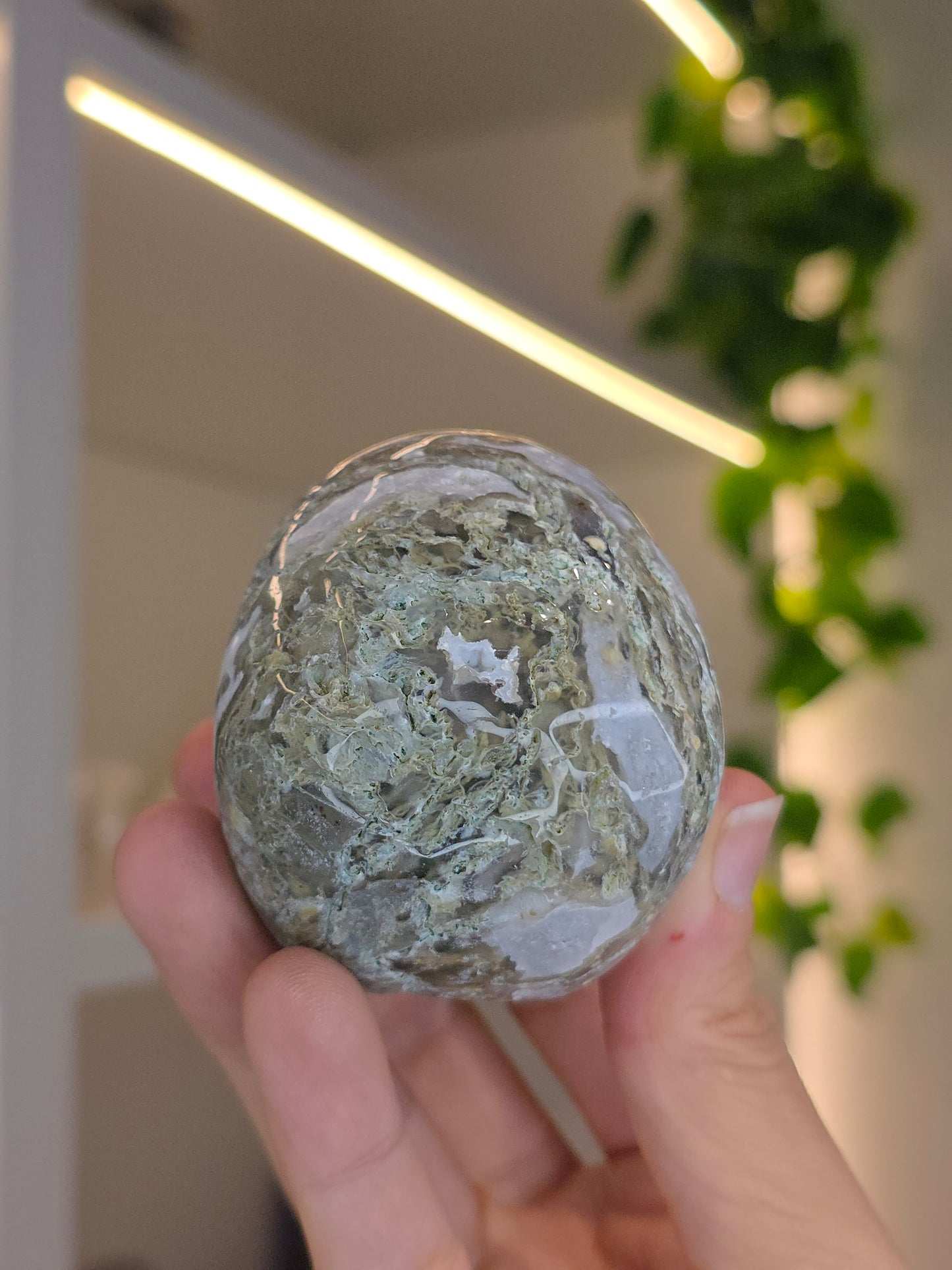 Moss Agate Skull B