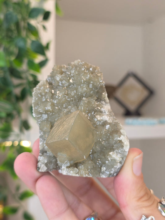 Honey Calcite Cubes on Druzy Sugar Calcite and Stilbite Matrix from Madhya Pradesh, India - AE