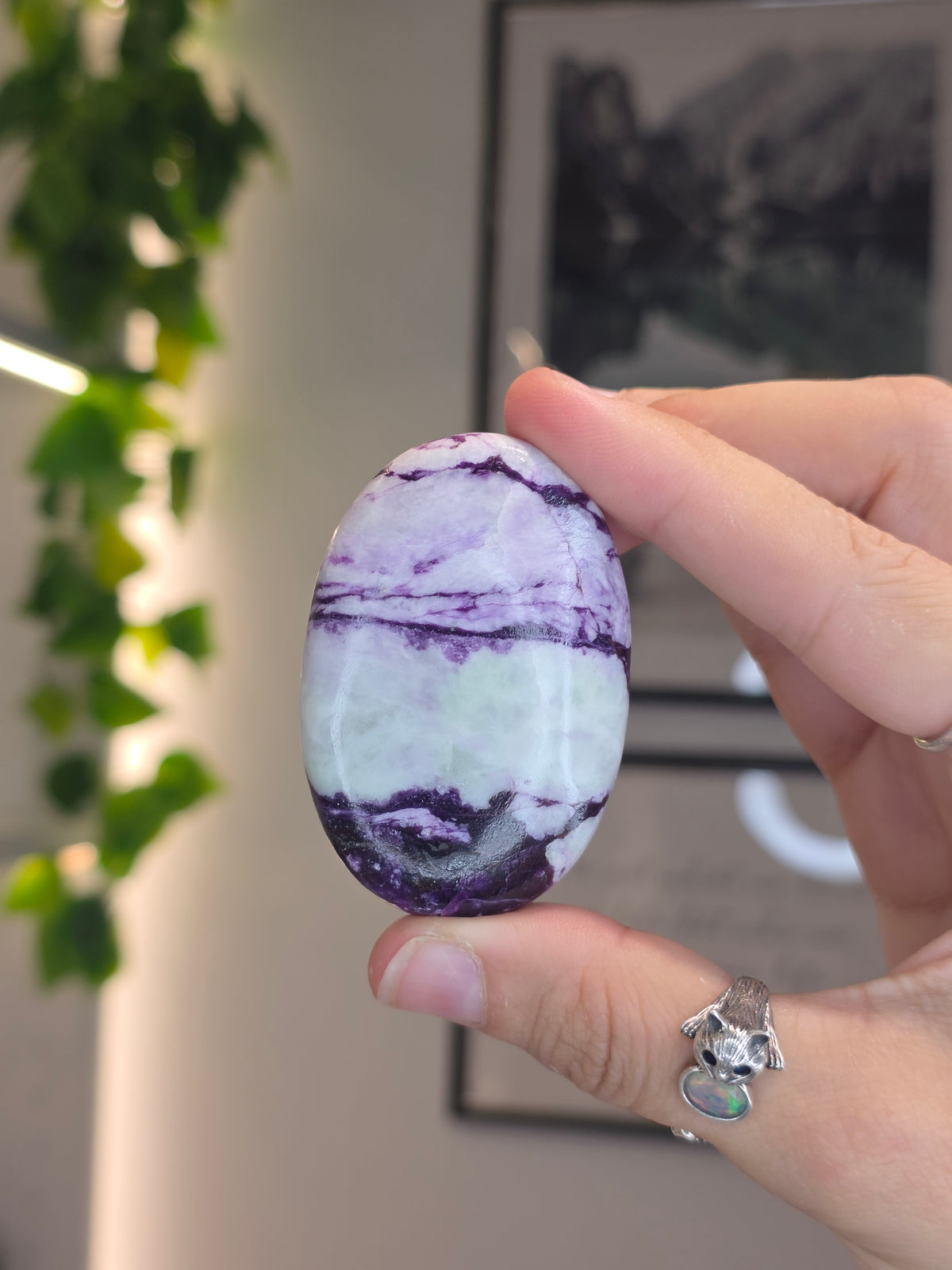 Purple Green Kammererite Palm Stones