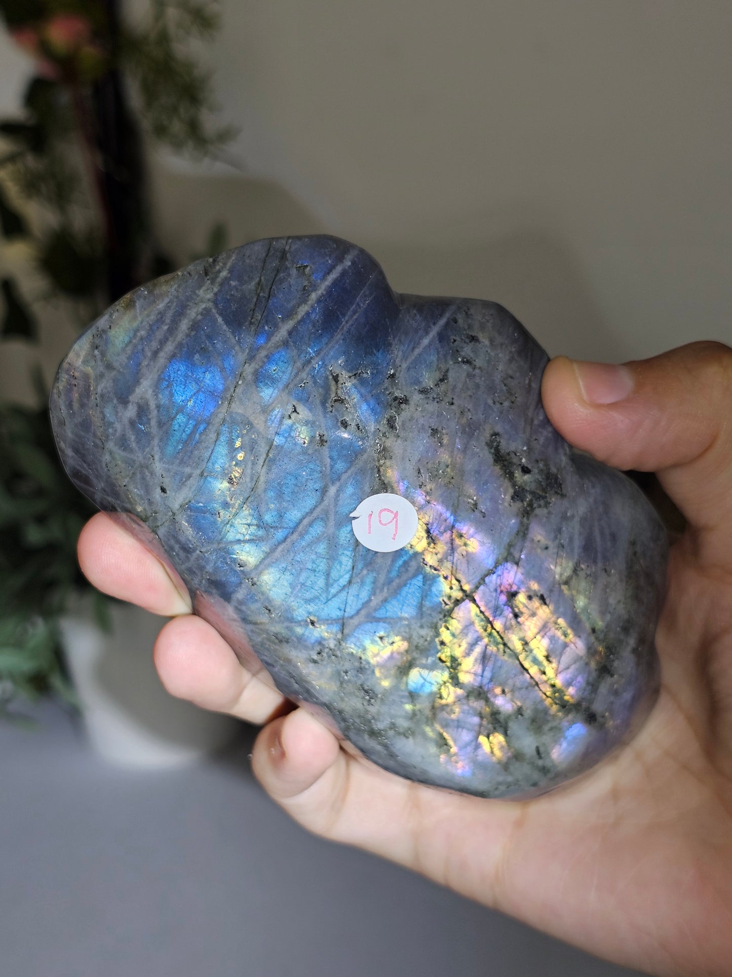 Labradorite Bowl - MAS0715