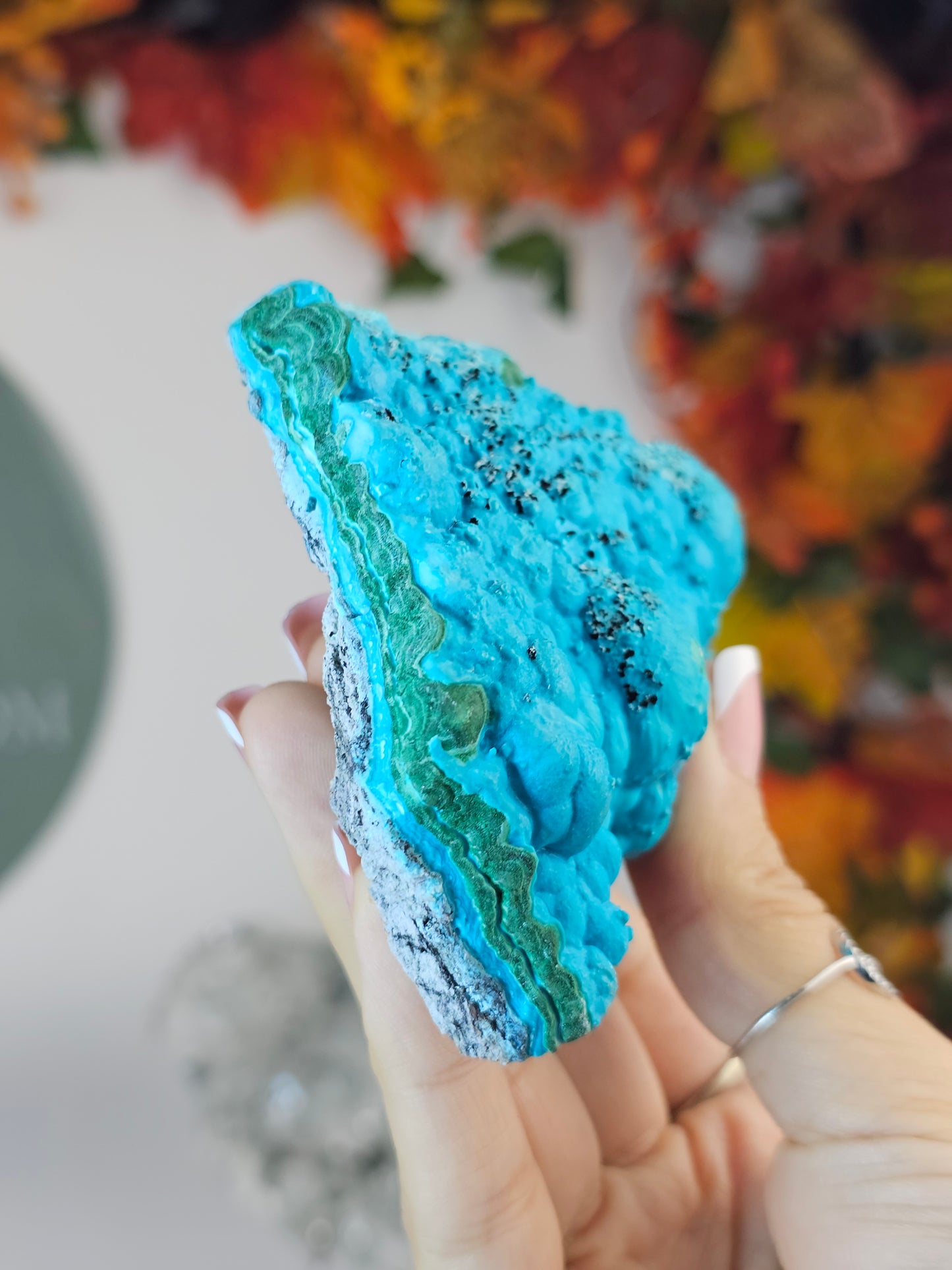 Botryoidal Chrysocolla with Malachite from the Congo - MAS2376