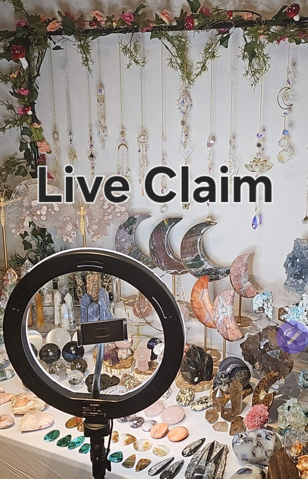 Live Claims