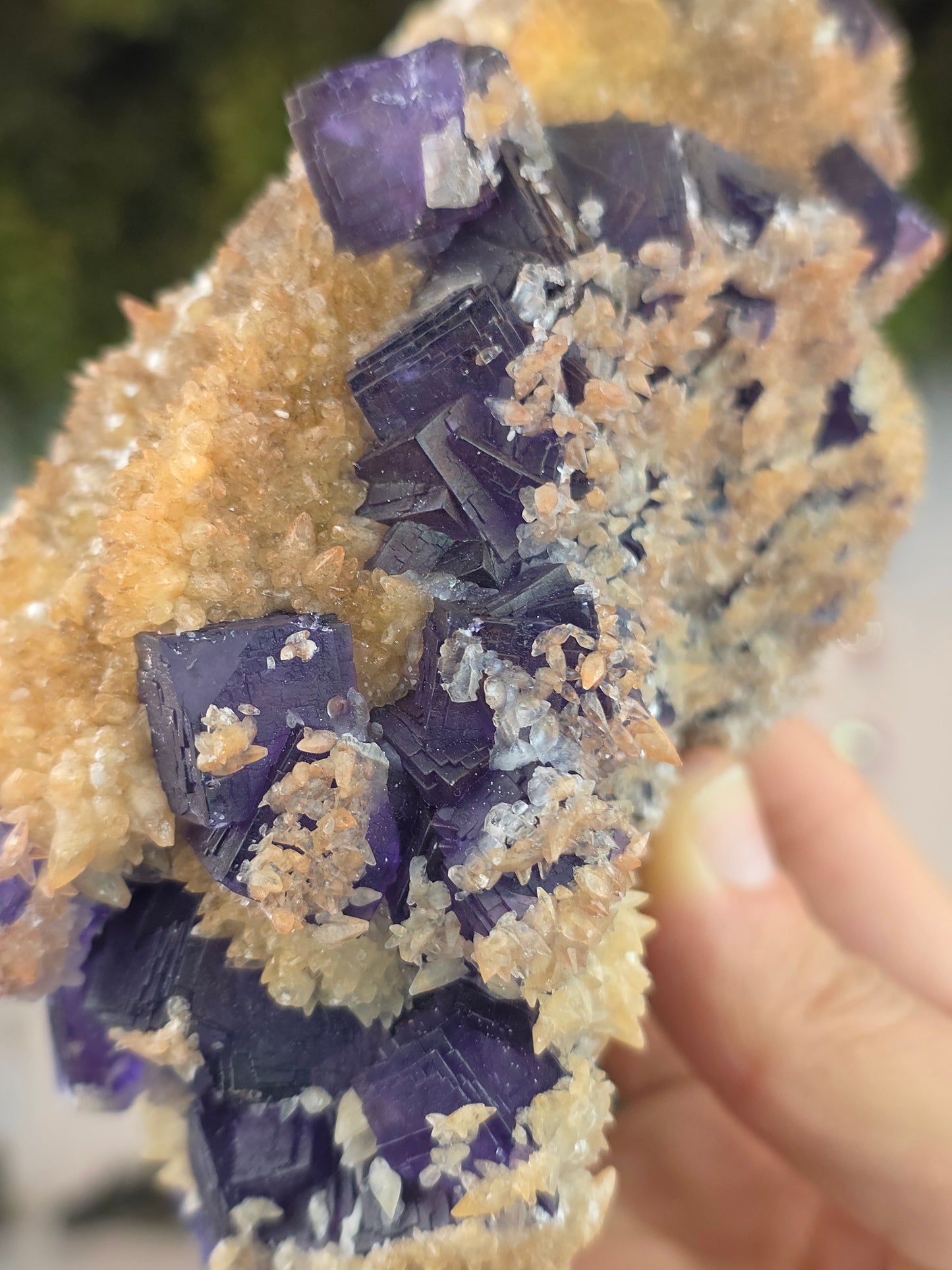 Purple Yindu Fluorite with Yellow Tooth Calcite - Yindu China