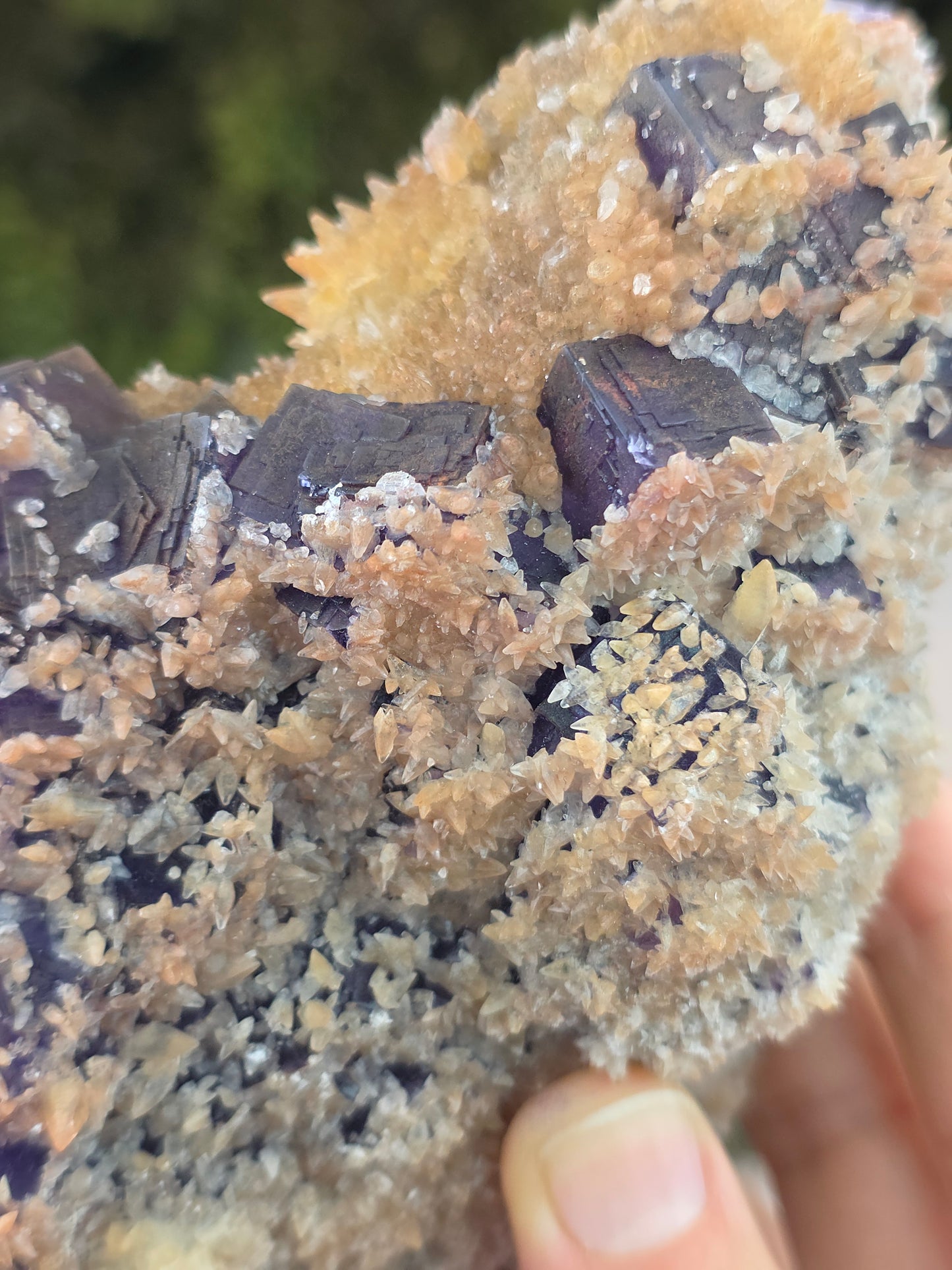 Purple Yindu Fluorite with Yellow Tooth Calcite - Yindu China