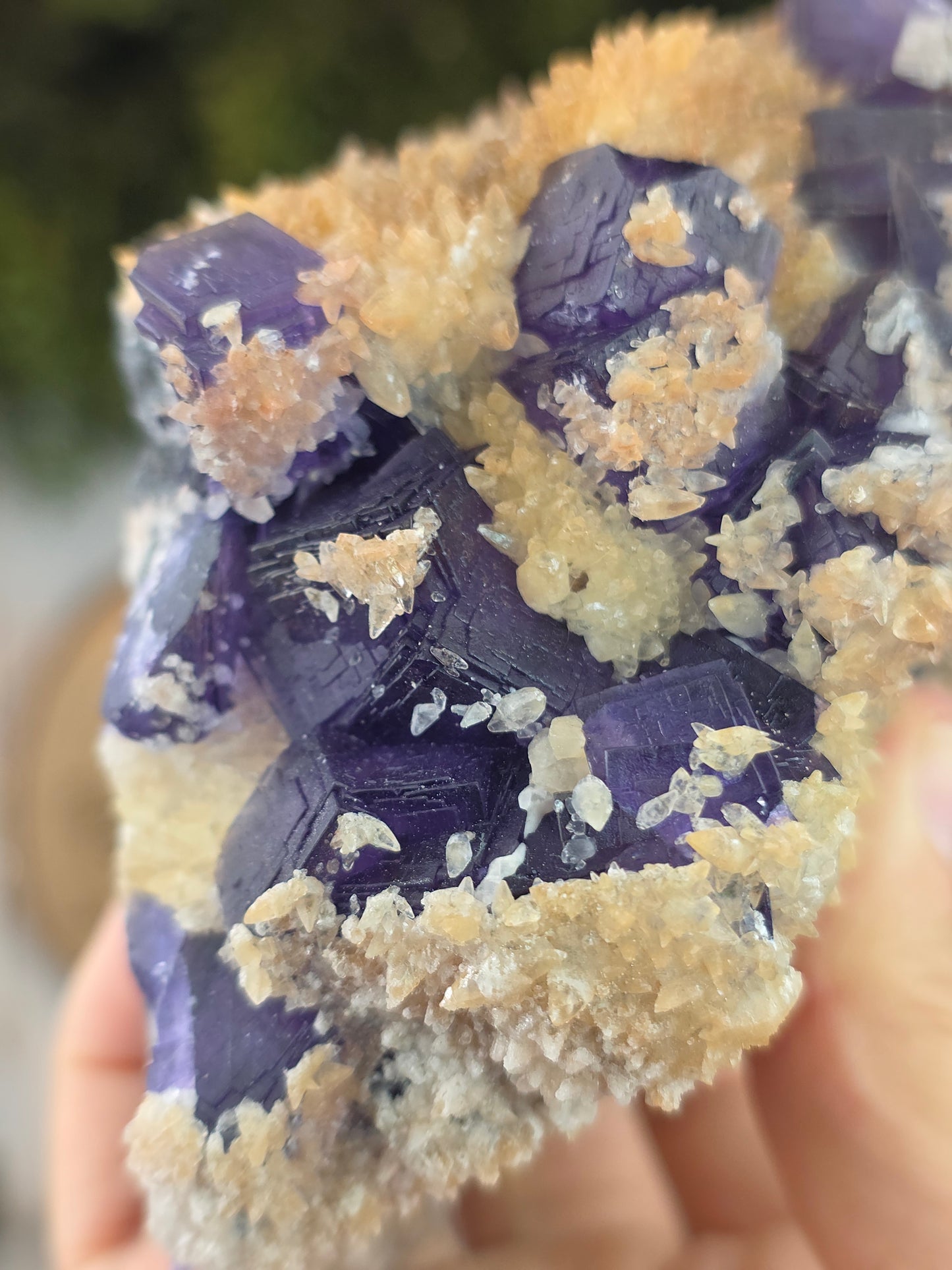 Purple Yindu Fluorite with Yellow Tooth Calcite - Yindu China
