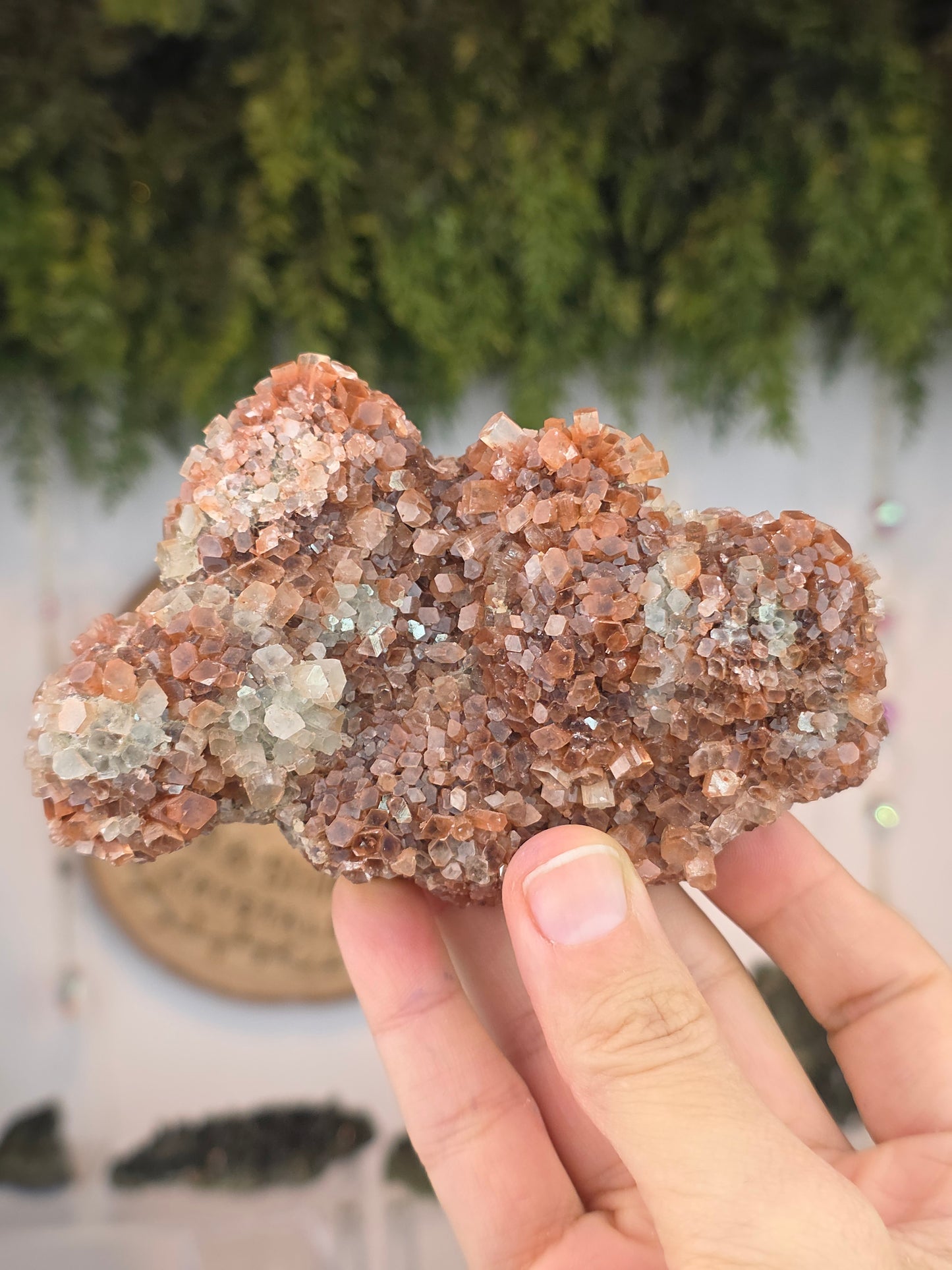 Aragonite