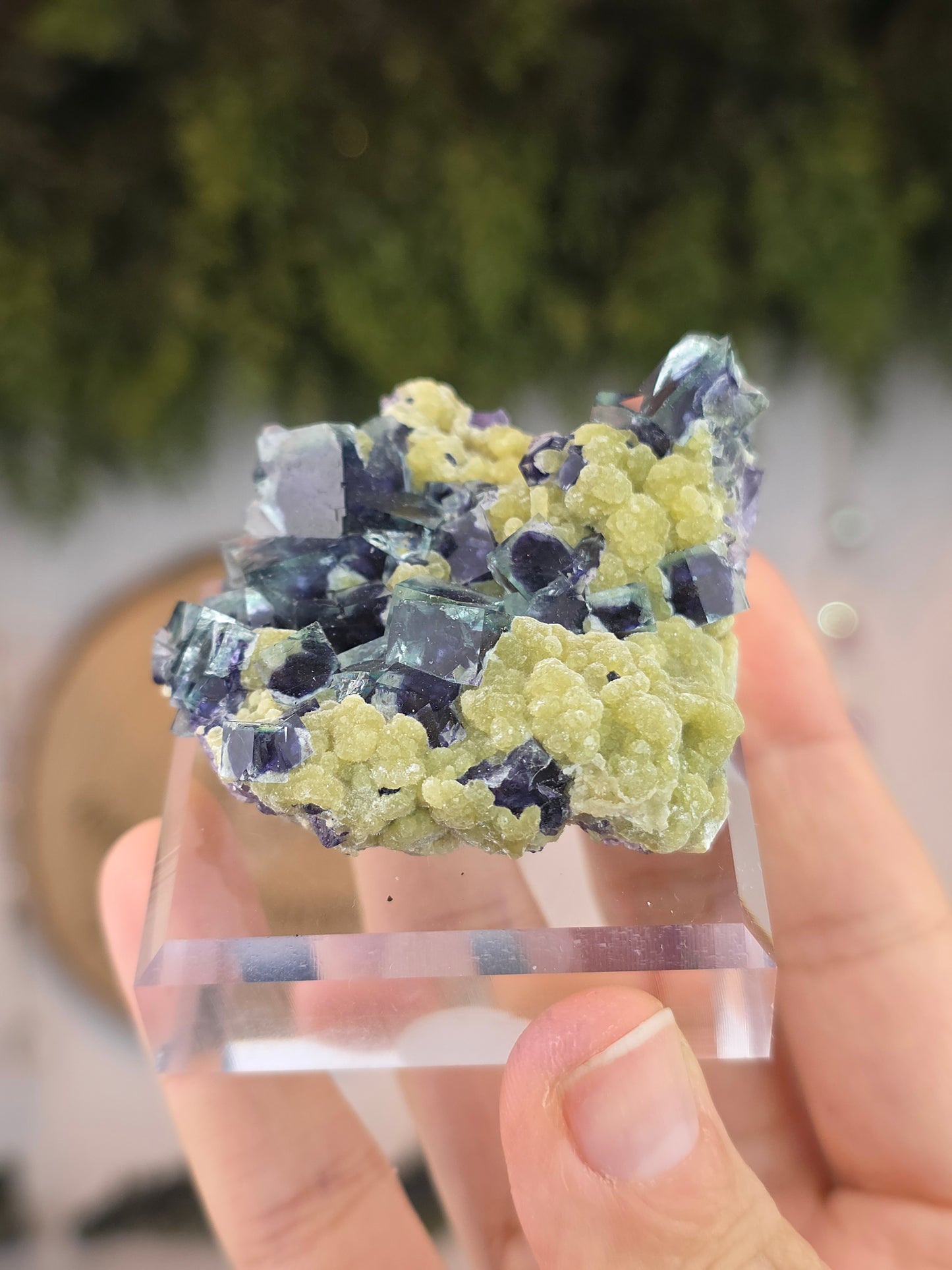 High Quality Clear Yindu Fluorite on Yellow Calcite - Yindu, China B