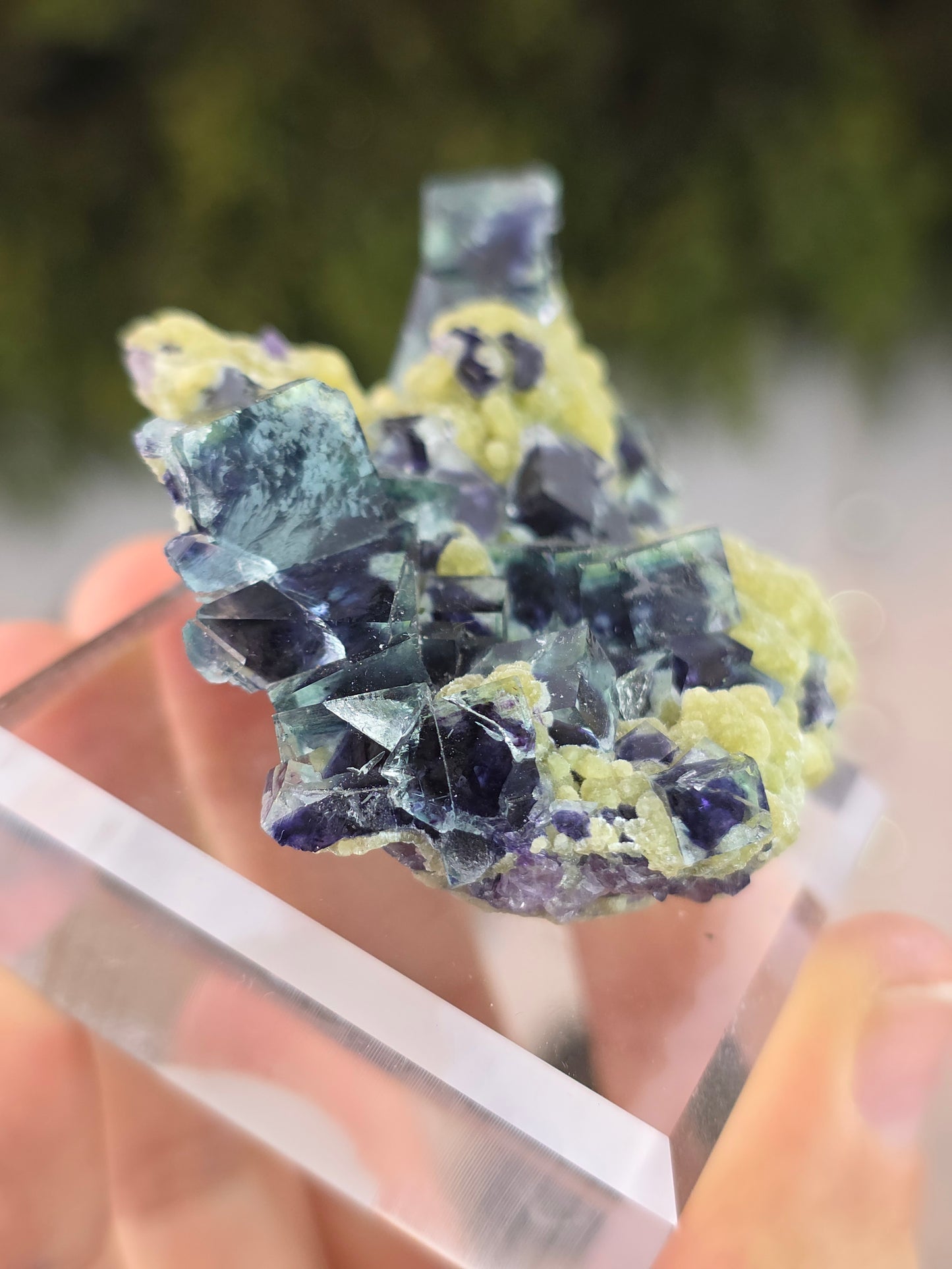 High Quality Clear Yindu Fluorite on Yellow Calcite - Yindu, China B