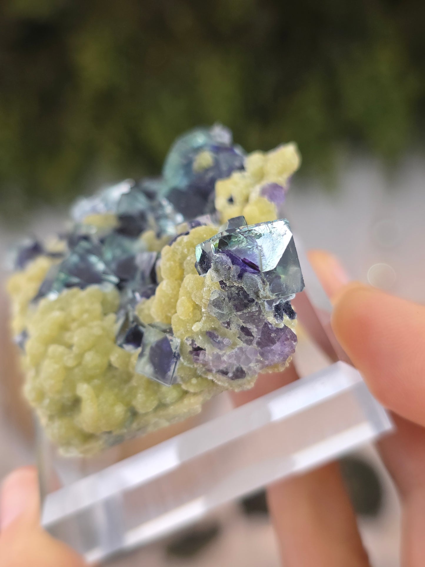 High Quality Clear Yindu Fluorite on Yellow Calcite - Yindu, China B