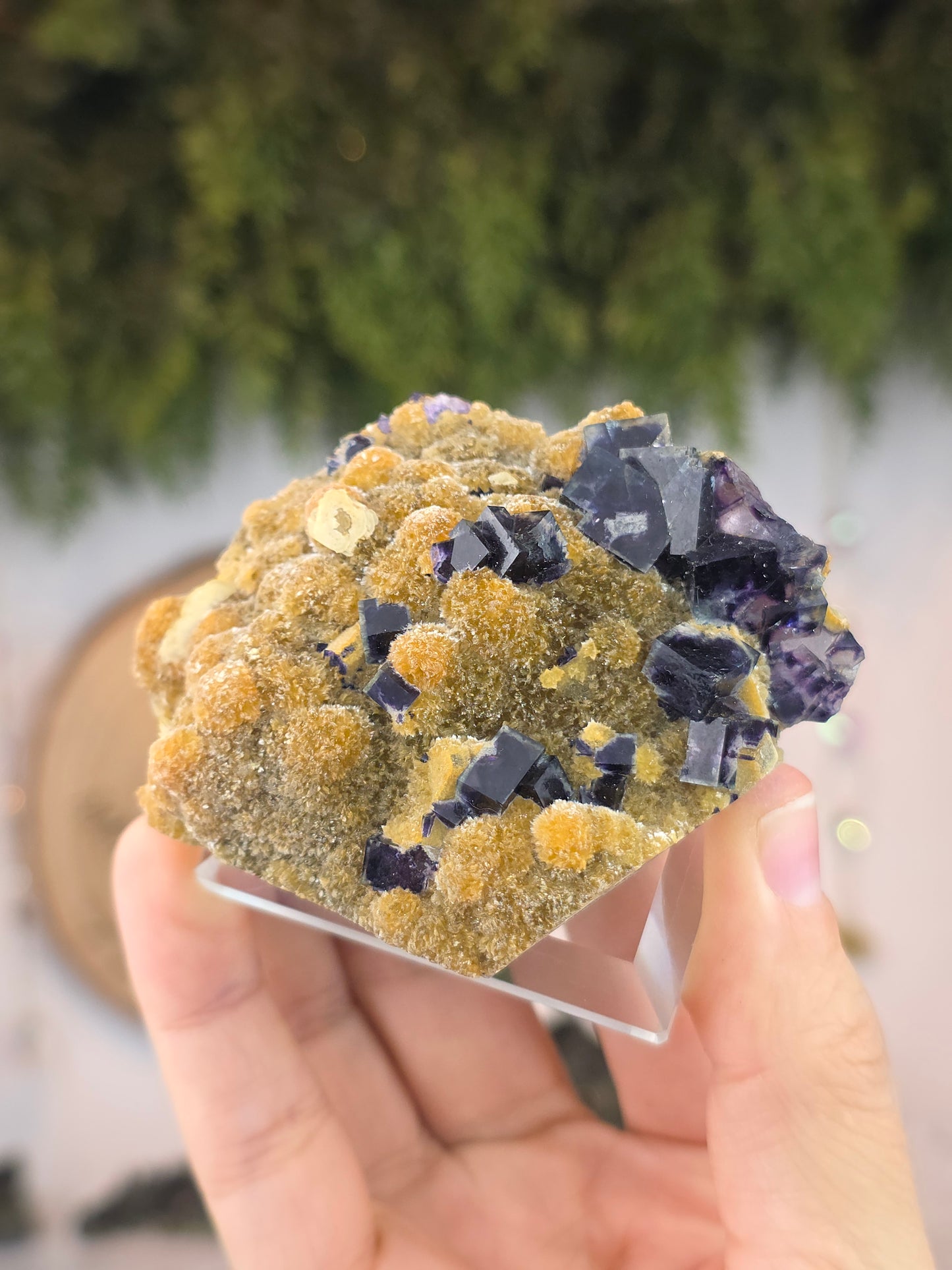 High Quality Clear Yindu Fluorite on Yellow Calcite - Yindu, China A