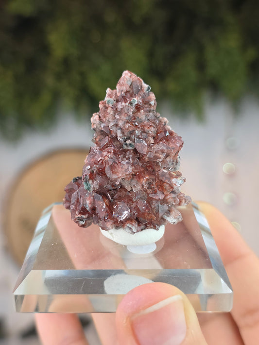 High Quality Pink Apophyllite with Green Apophyllite, Celadonite and Heulandite - Jalgon District, India