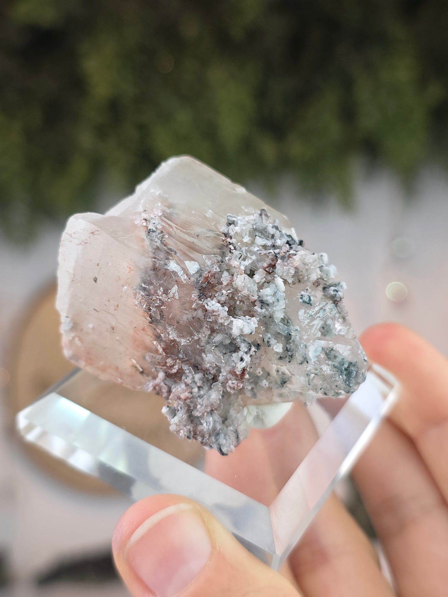 High Quality Apophyllite with Green Apophyllite, Celadonite and Heulandite - Jalgon District, India (Copy)