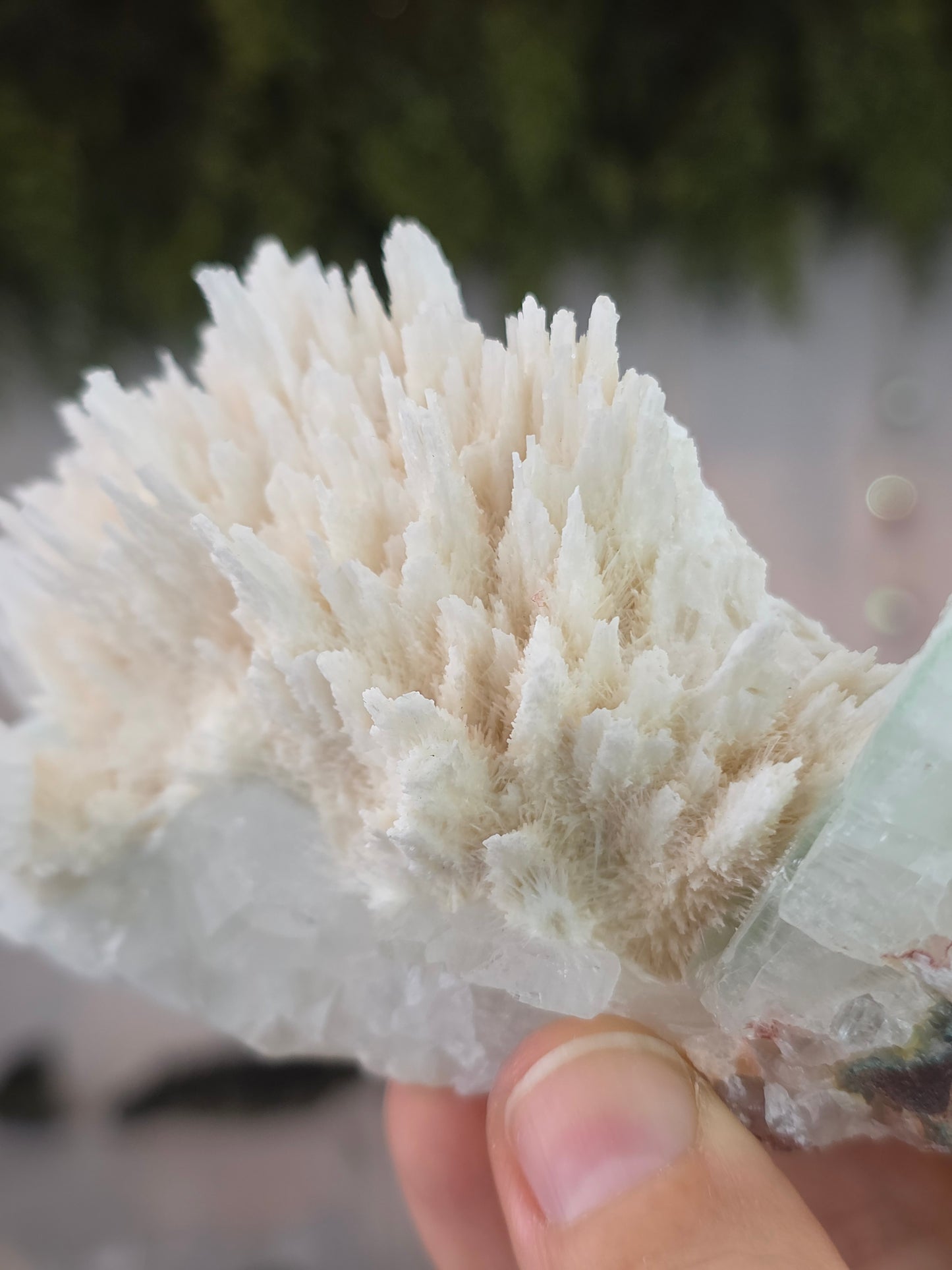 Apophyllite on Mordenite with Hematite Inclusions - Ahmednagar District, Maharashtra, India