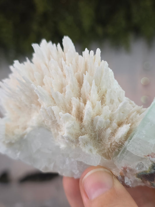 Apophyllite on Mordenite with Hematite Inclusions - Ahmednagar District, Maharashtra, India