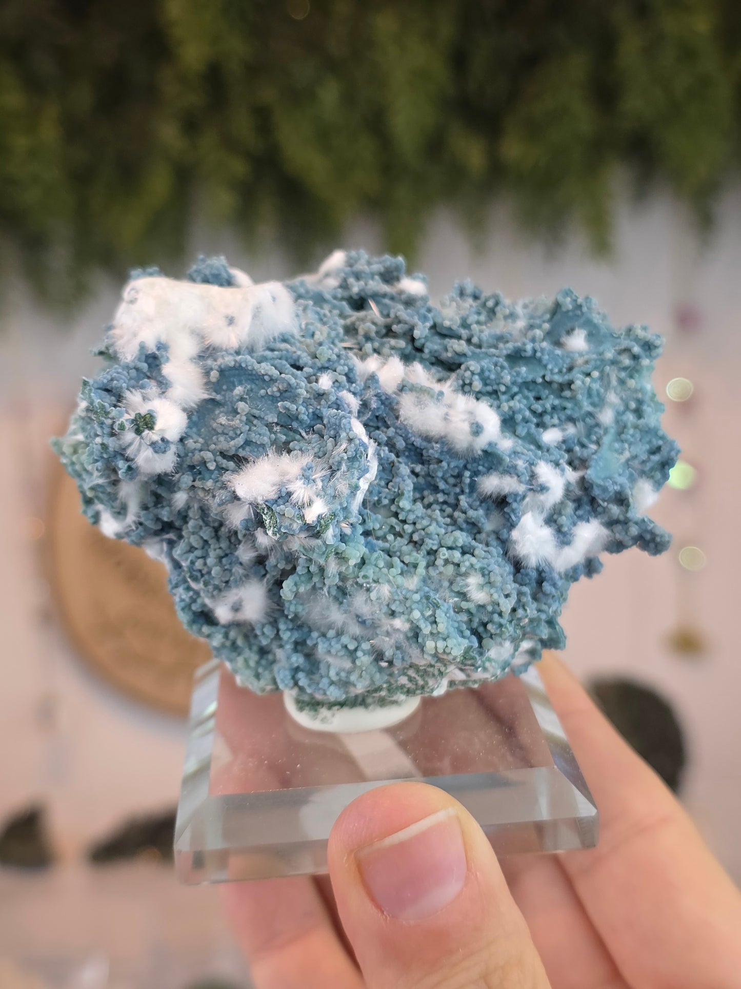 High Grade Okenite on Chalcedony - Maharashtra, India A