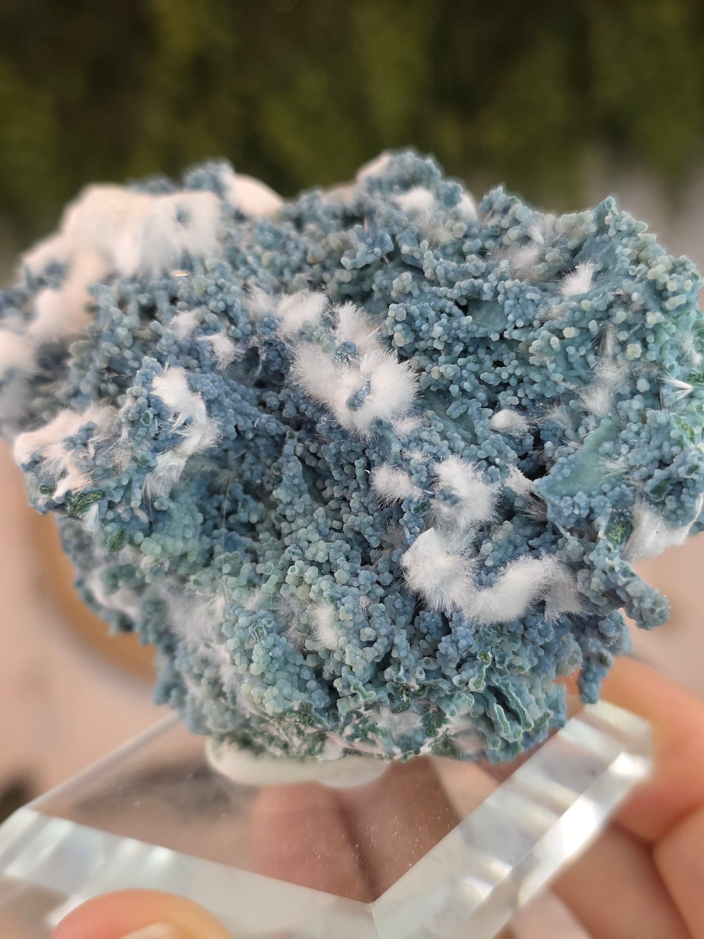 High Grade Okenite on Chalcedony - Maharashtra, India A