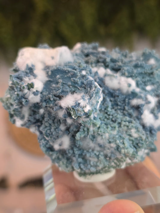 High Grade Okenite on Chalcedony - Maharashtra, India A