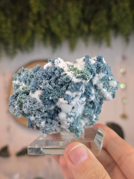 High Grade Okenite on Chalcedony - Maharashtra, India A