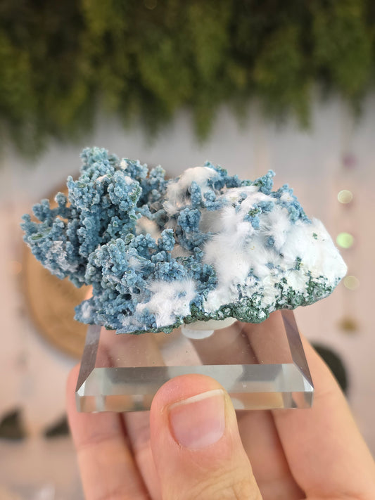 High Grade Okenite on Chalcedony - Maharashtra, India B