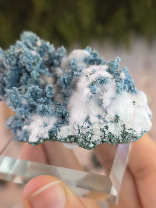 High Grade Okenite on Chalcedony - Maharashtra, India B