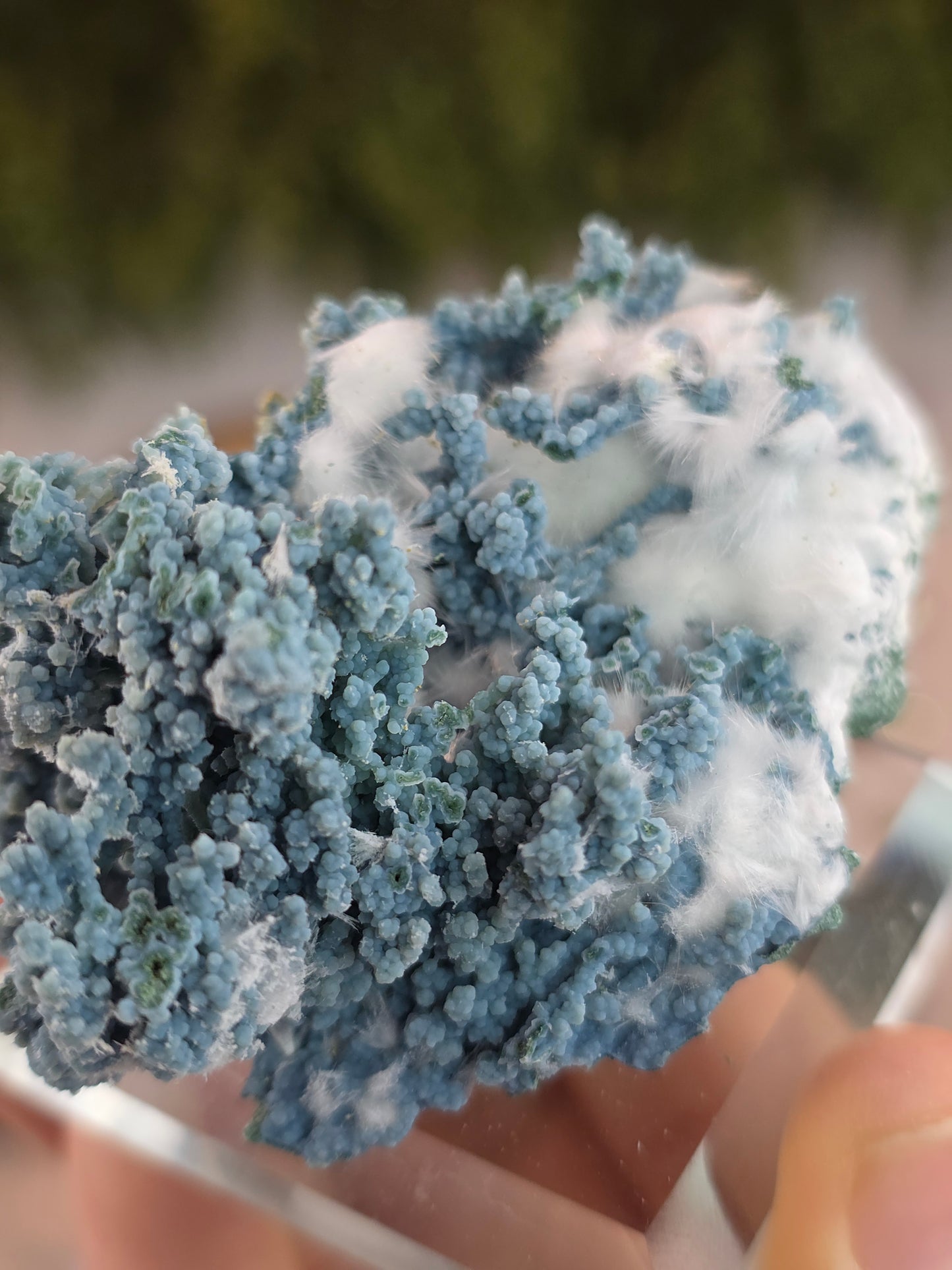 High Grade Okenite on Chalcedony - Maharashtra, India B