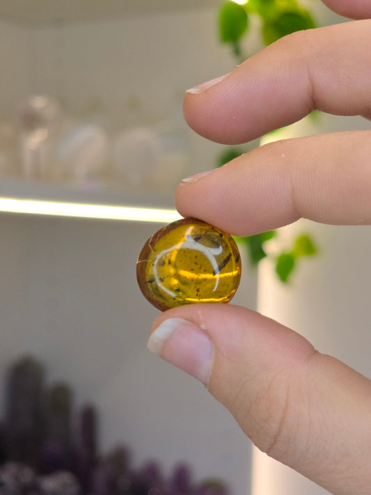 Insect Included Amber Specimen (A)