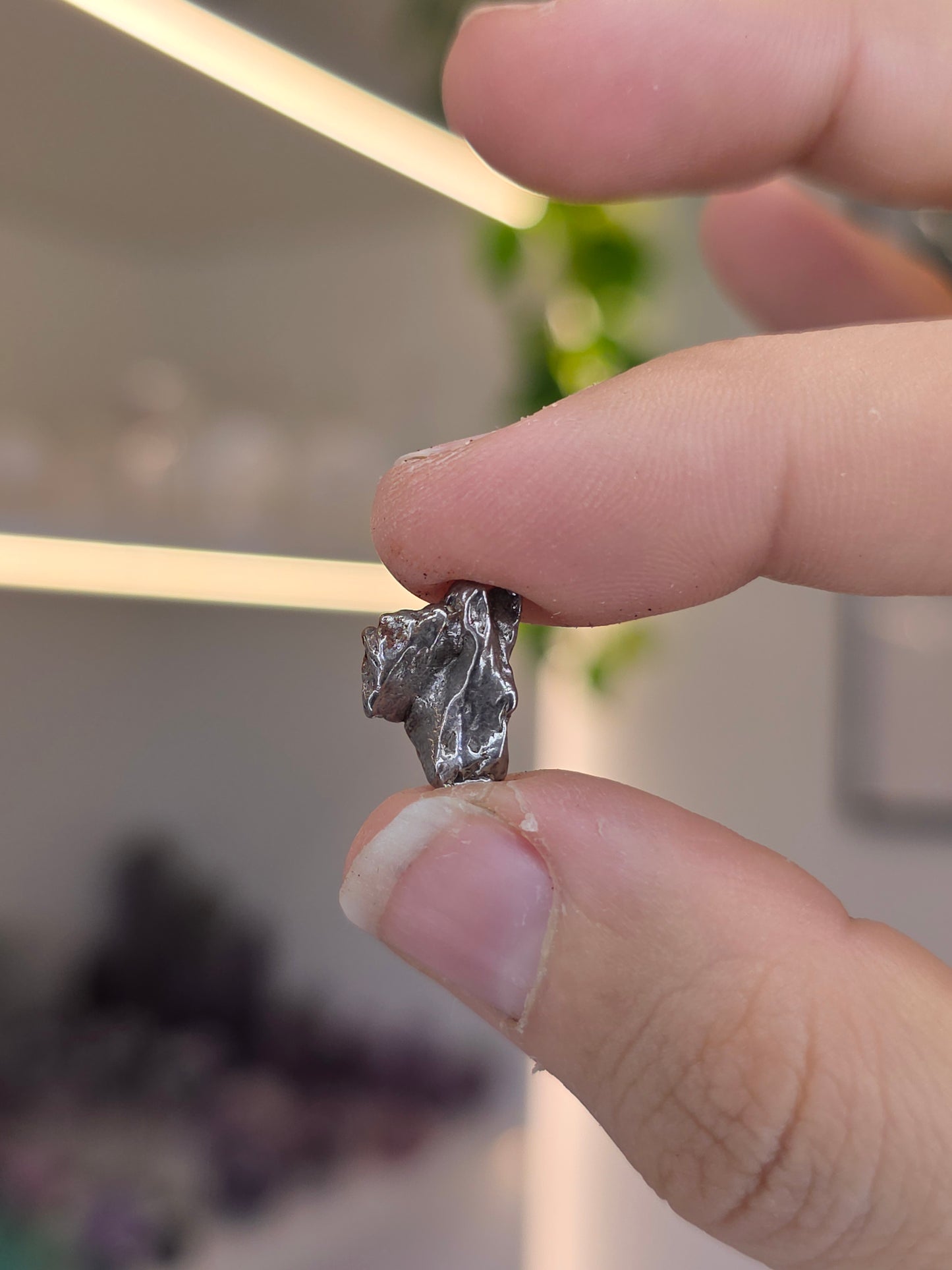 Campo del Cielo Meteorite