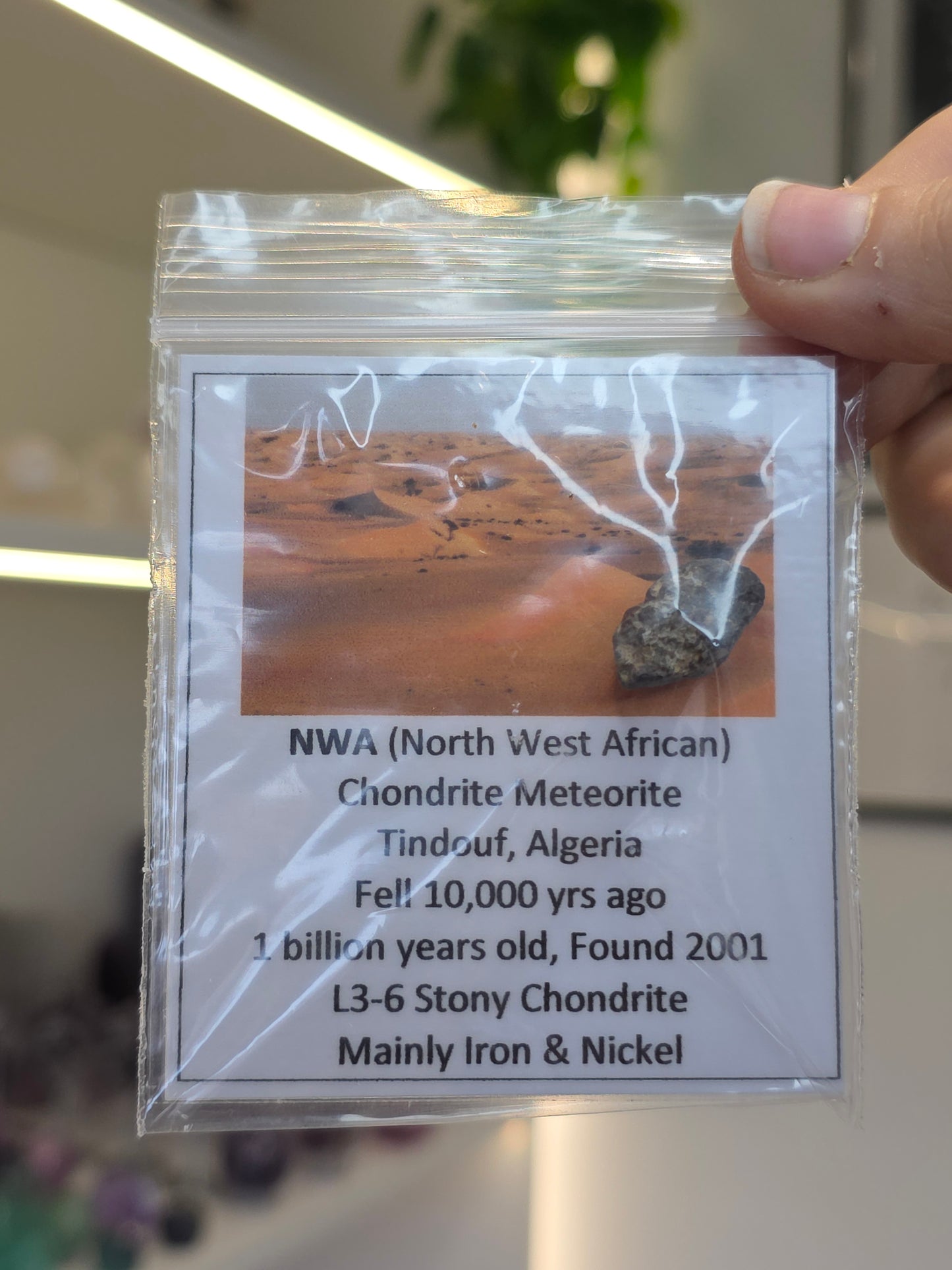 NWA Chondrite Meteorite