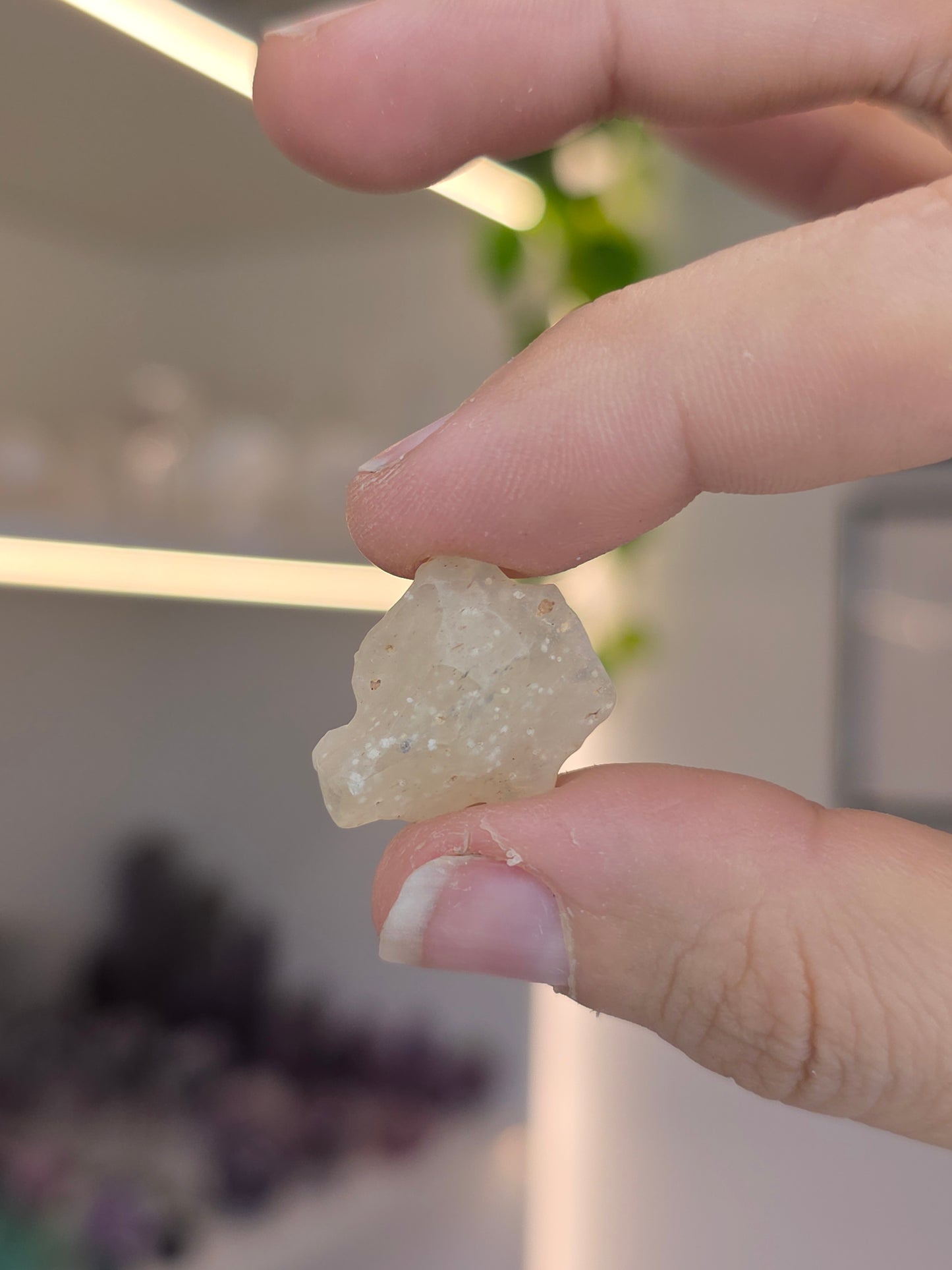 Libyan Desert Glass LDG