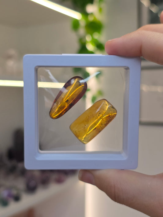 Set of 3 Insect Included Amber Specimens (F)