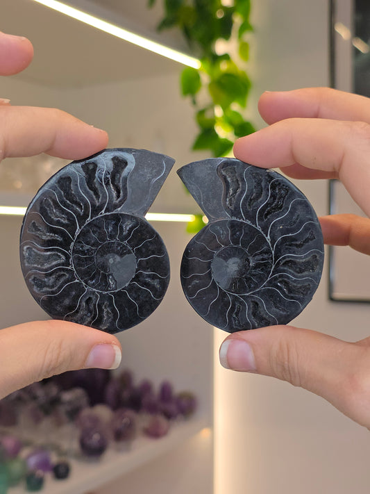 Ammonite Pairs