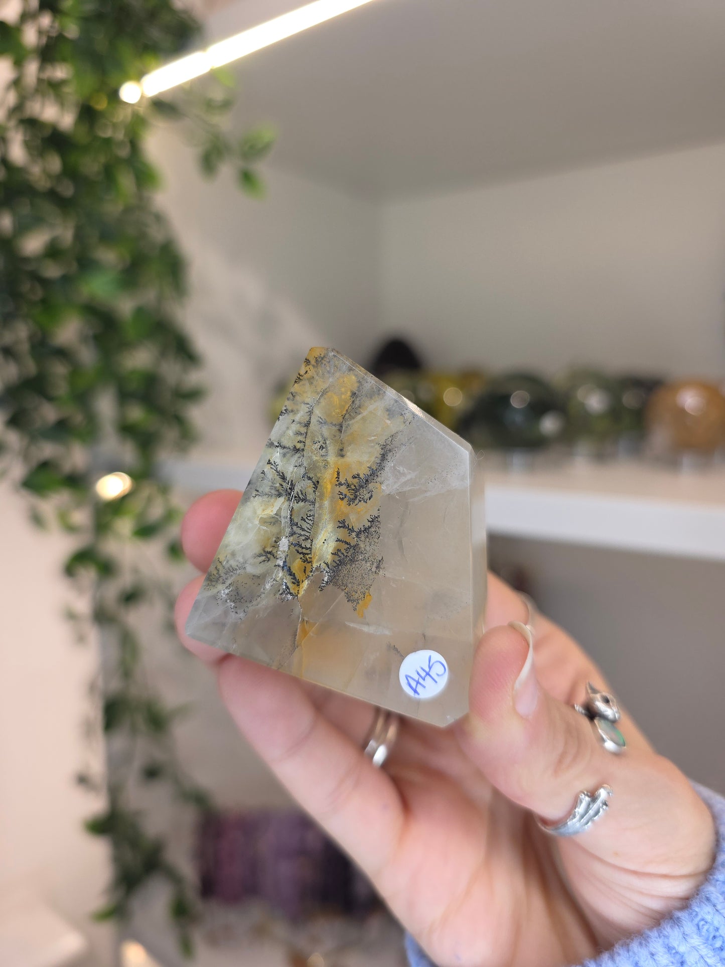 Dendritic Golden Healer Freeform