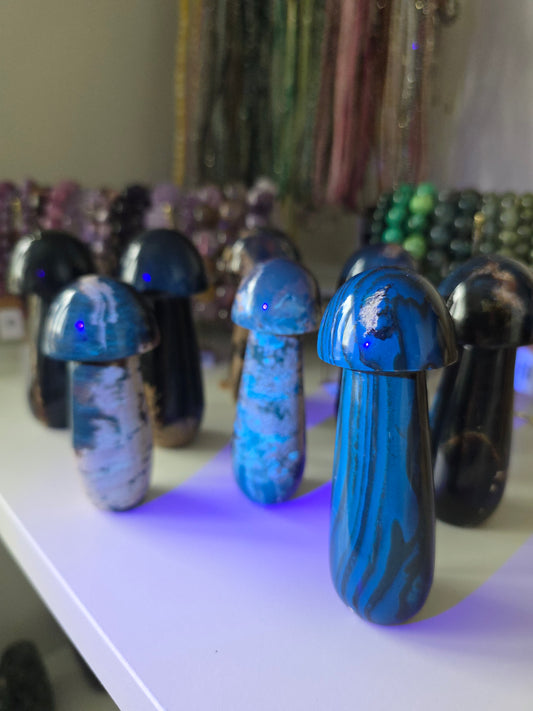 Indonesian UV Reactive Blue Amber Mushrooms