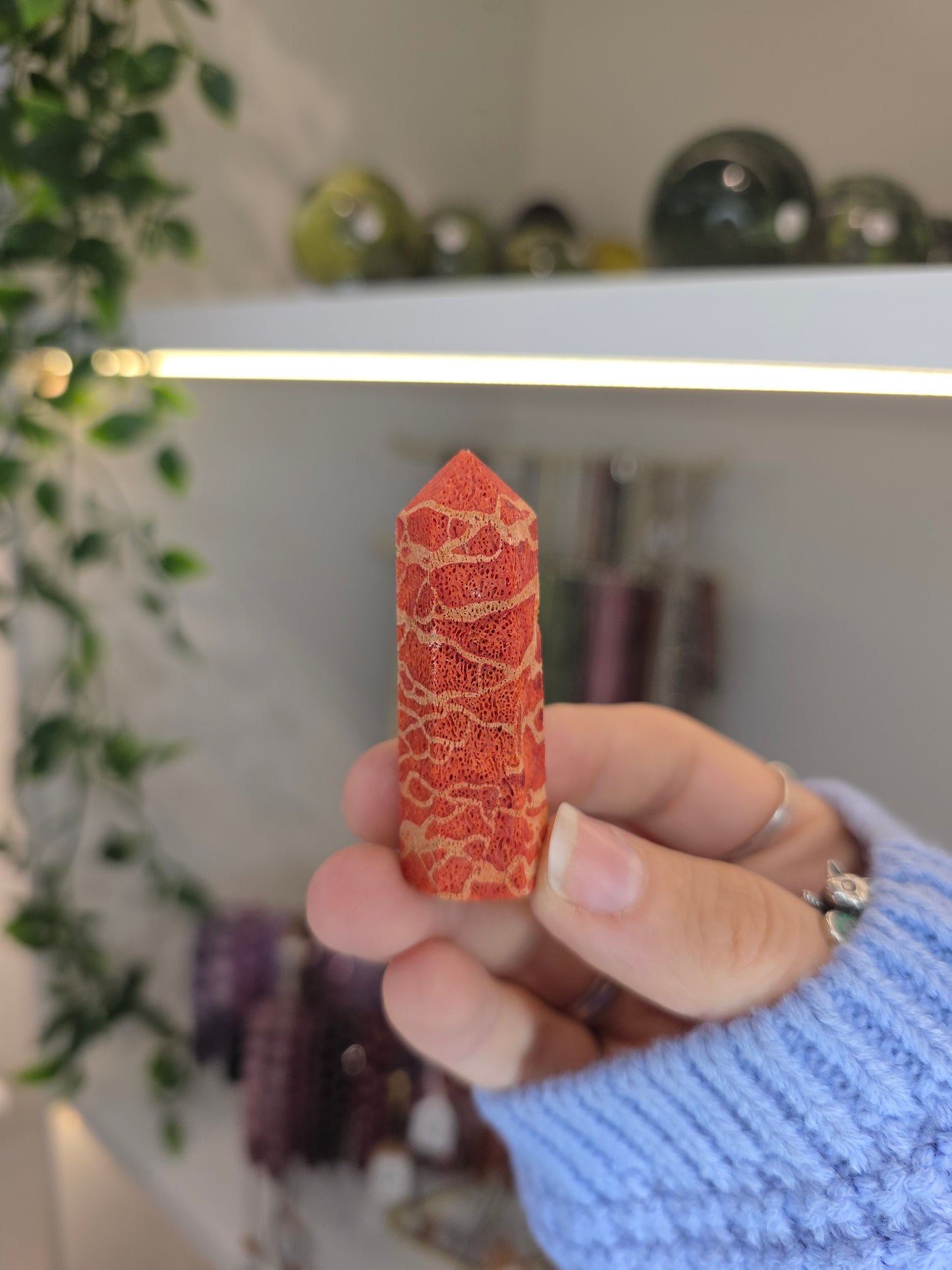 Red Coral Towers