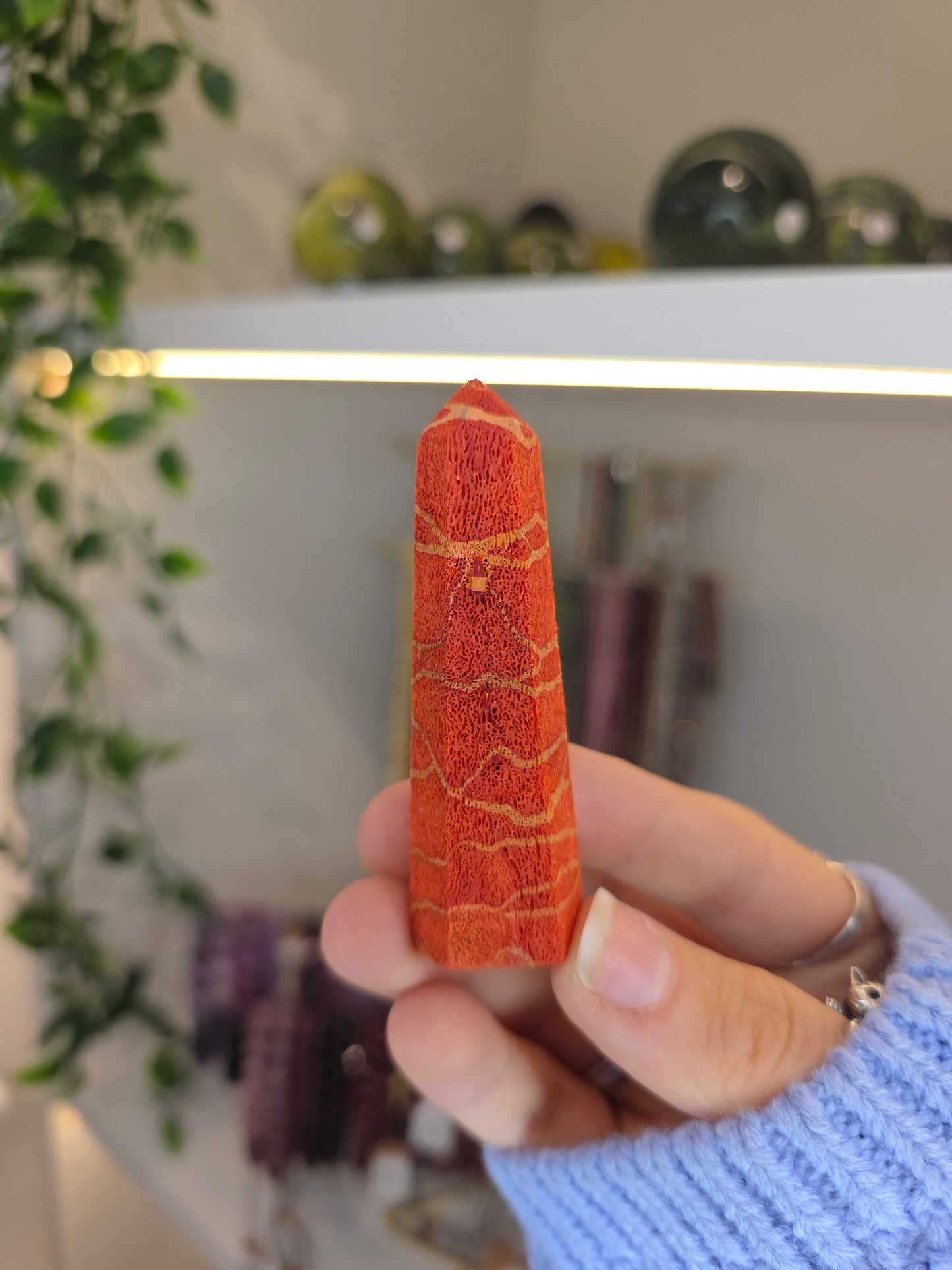 Red Coral Towers